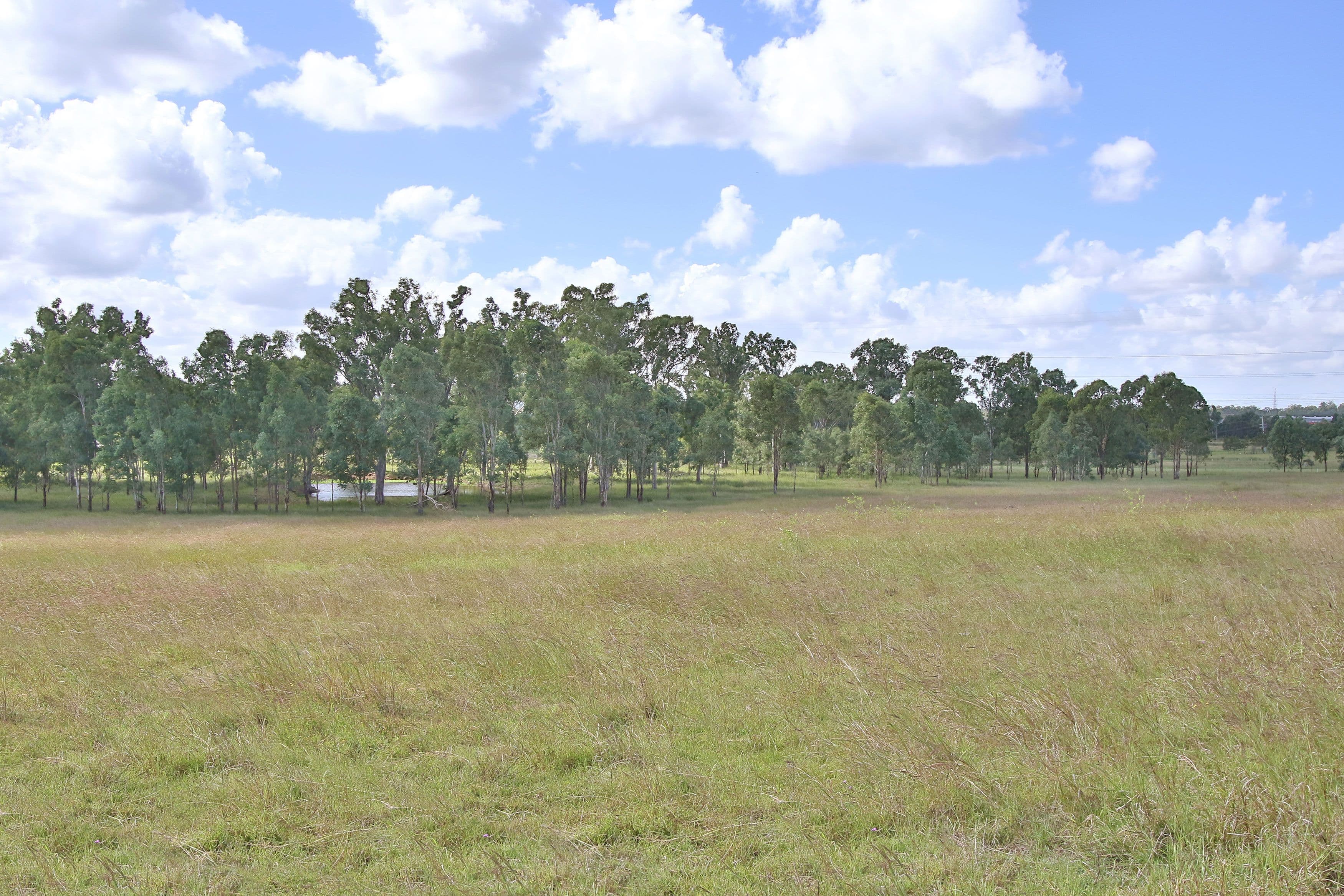 57 Nelson Street, Bundamba QLD 4304, Bundamba - Thumbnail 6