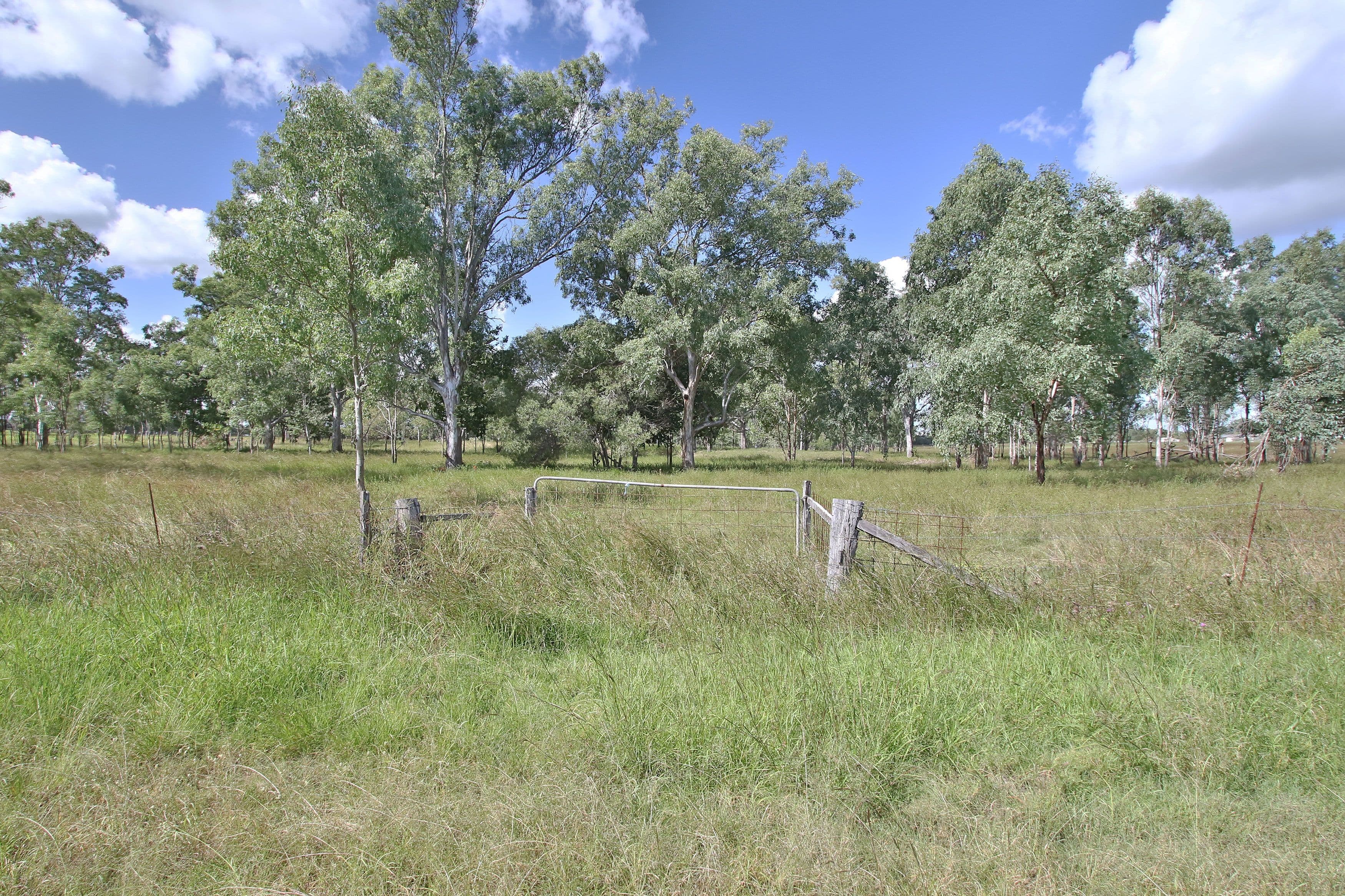 57 Nelson Street, Bundamba QLD 4304, Bundamba - Thumbnail 8