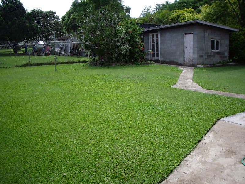 95 Rowe Terrace, DARRA QLD 4076, Darra - Thumbnail 6