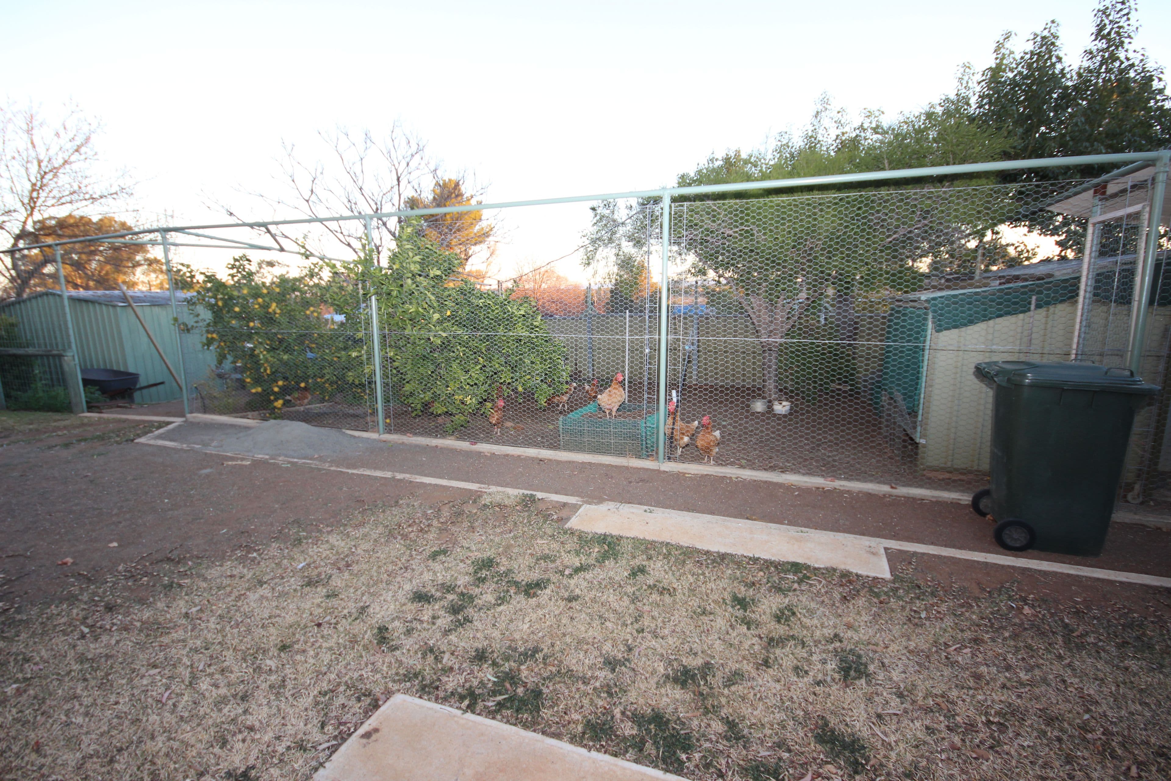 31 Valley Drive, Tamworth NSW 2340, Tamworth - Thumbnail 4