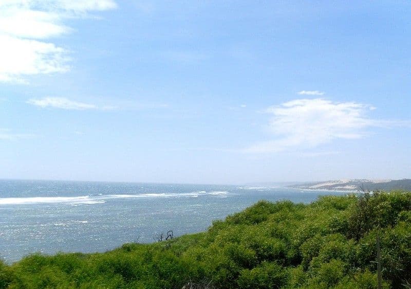 6 Horan Way, HORROCKS WA 6535, Horrocks - Thumbnail 6