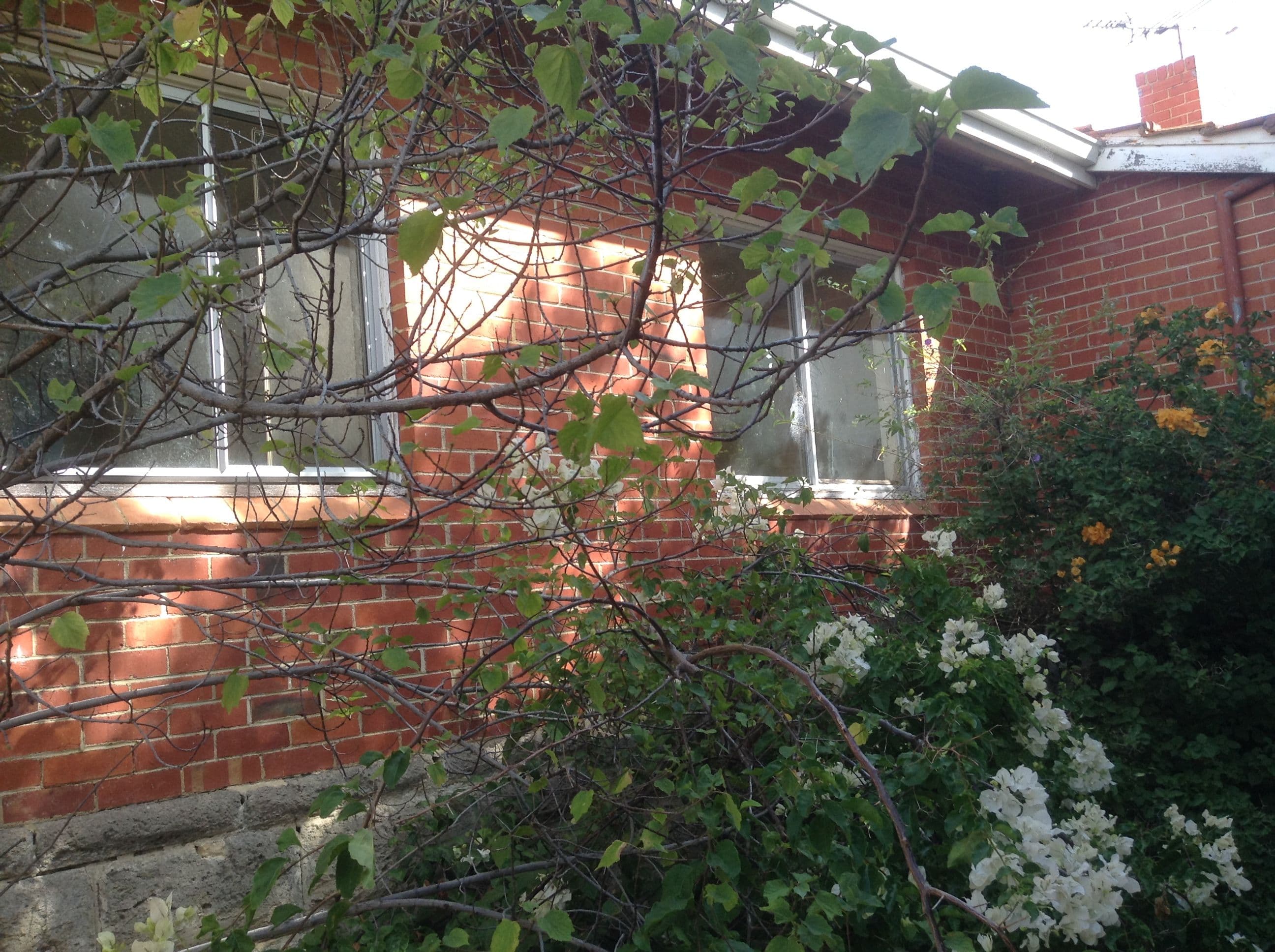 Lot 1,  37 Gunbower Road, MOUNT PLEASANT, Mount Pleasant - Thumbnail 5