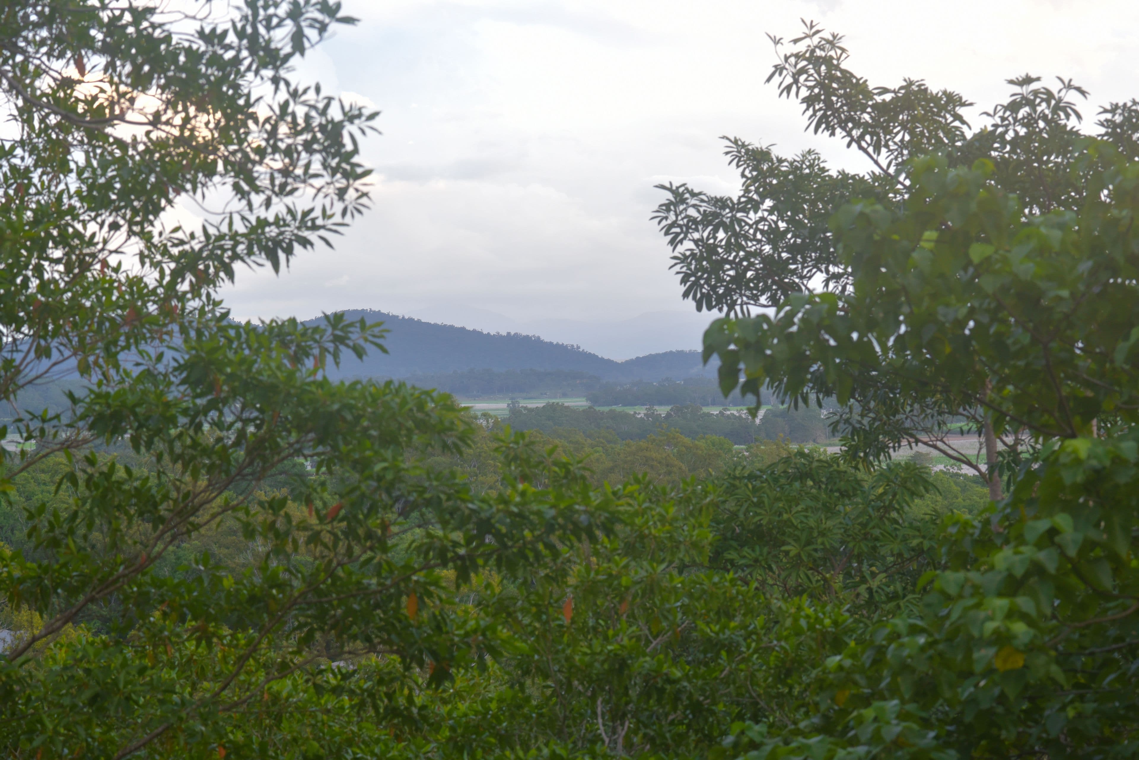 103 Kookaburra Drive, Cannon Valley QLD 4800, Cannon Valley - Thumbnail 4