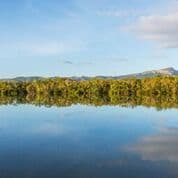 9 Leura Street, Doncaster East - Thumbnail 8