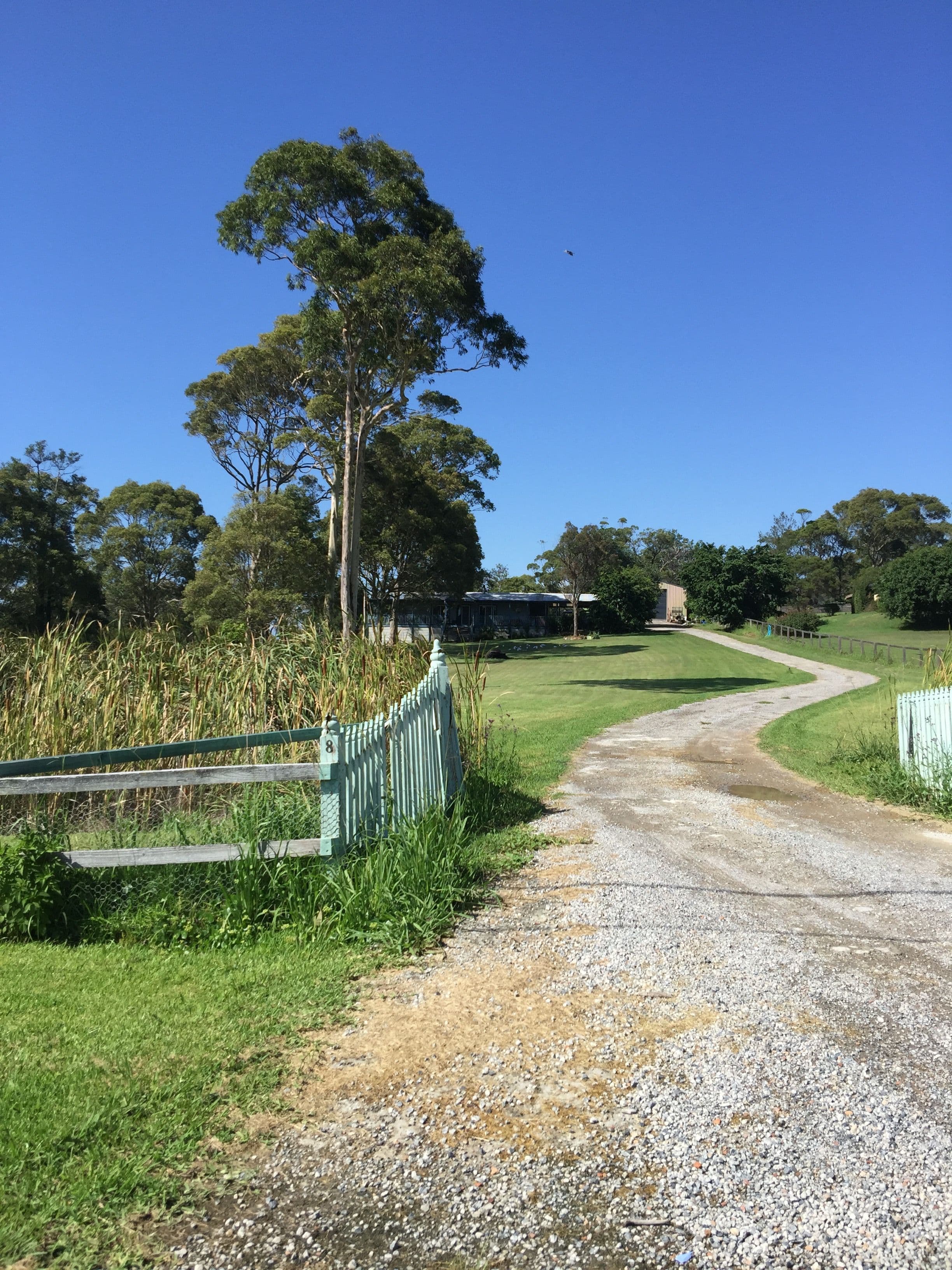 8 Warrambool Road, Wamberal - Thumbnail 2