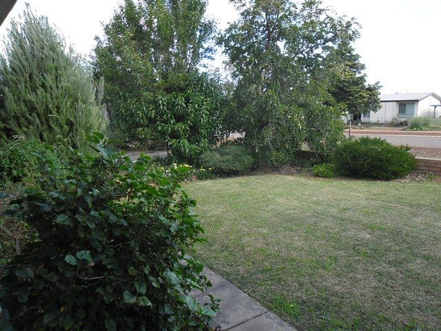 22 Bristol Street, COOROW WA 6515, Coorow - Thumbnail 4
