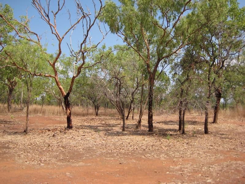 39 Allmich Road, KATHERINE NT 0850, Katherine - Thumbnail 8