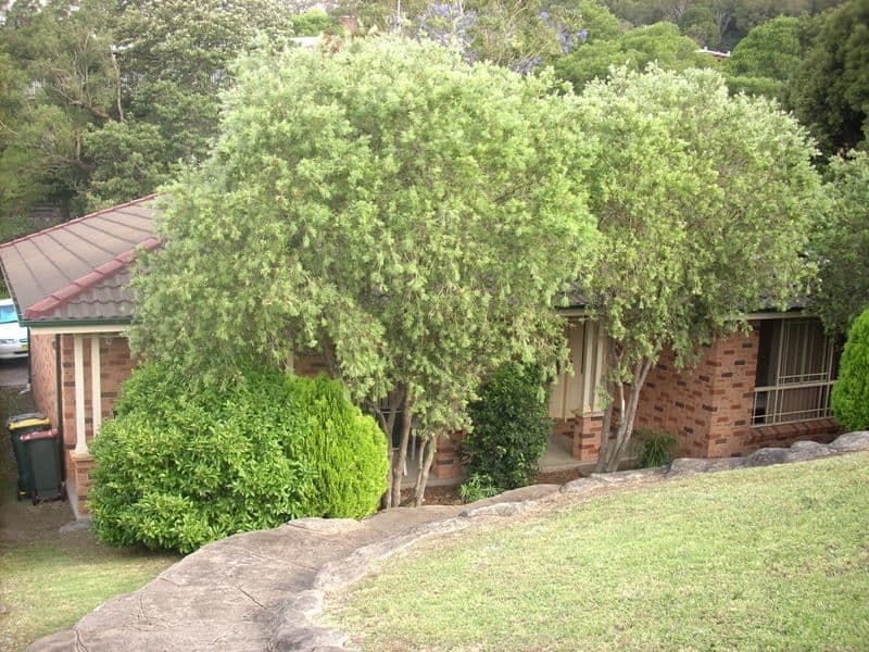 33 Taminga Crescent, CORDEAUX HEIGHTS NSW 2526, Cordeaux Heights - Thumbnail 7