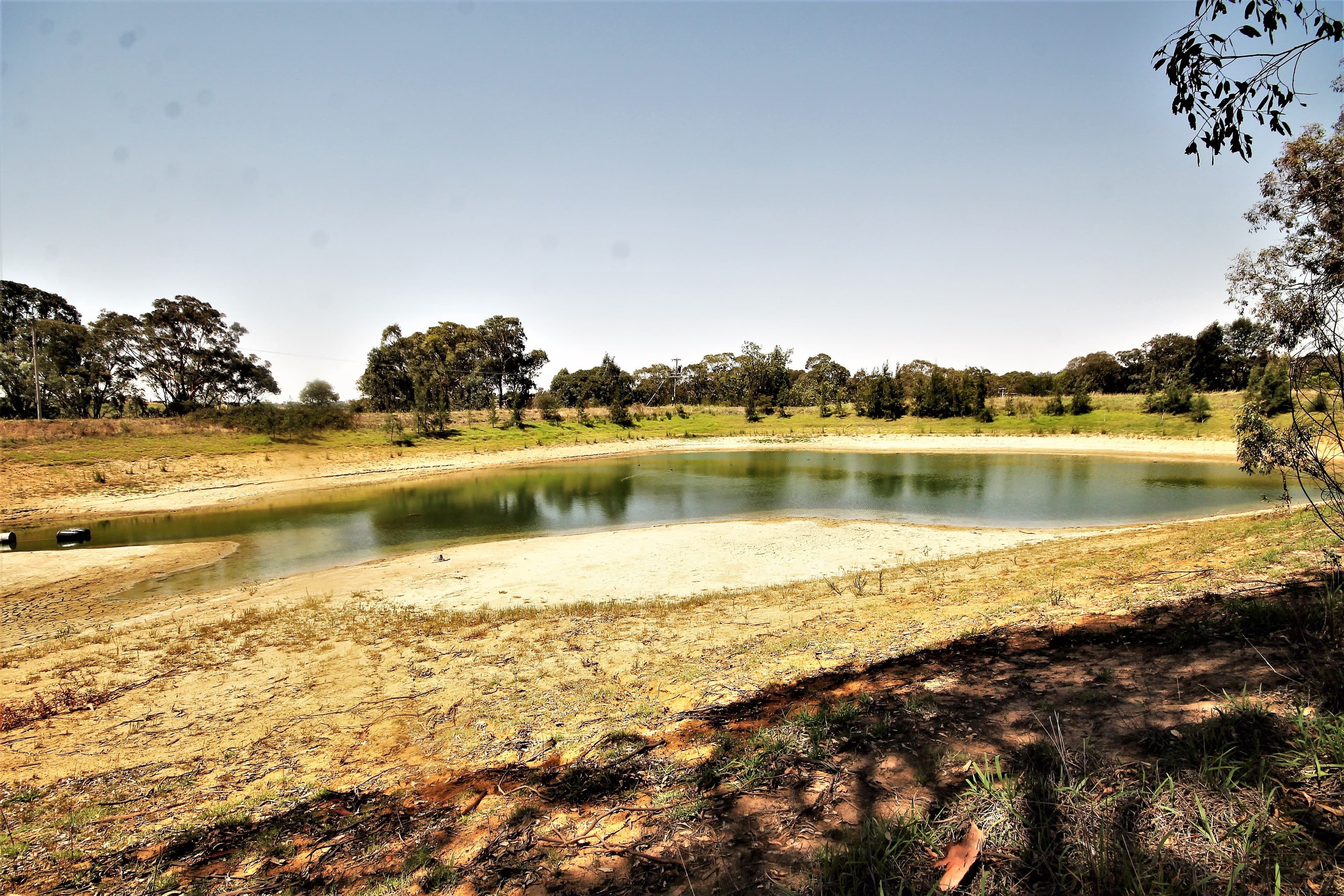 108 Hardys Road, Young NSW 2594, Young - Thumbnail 4