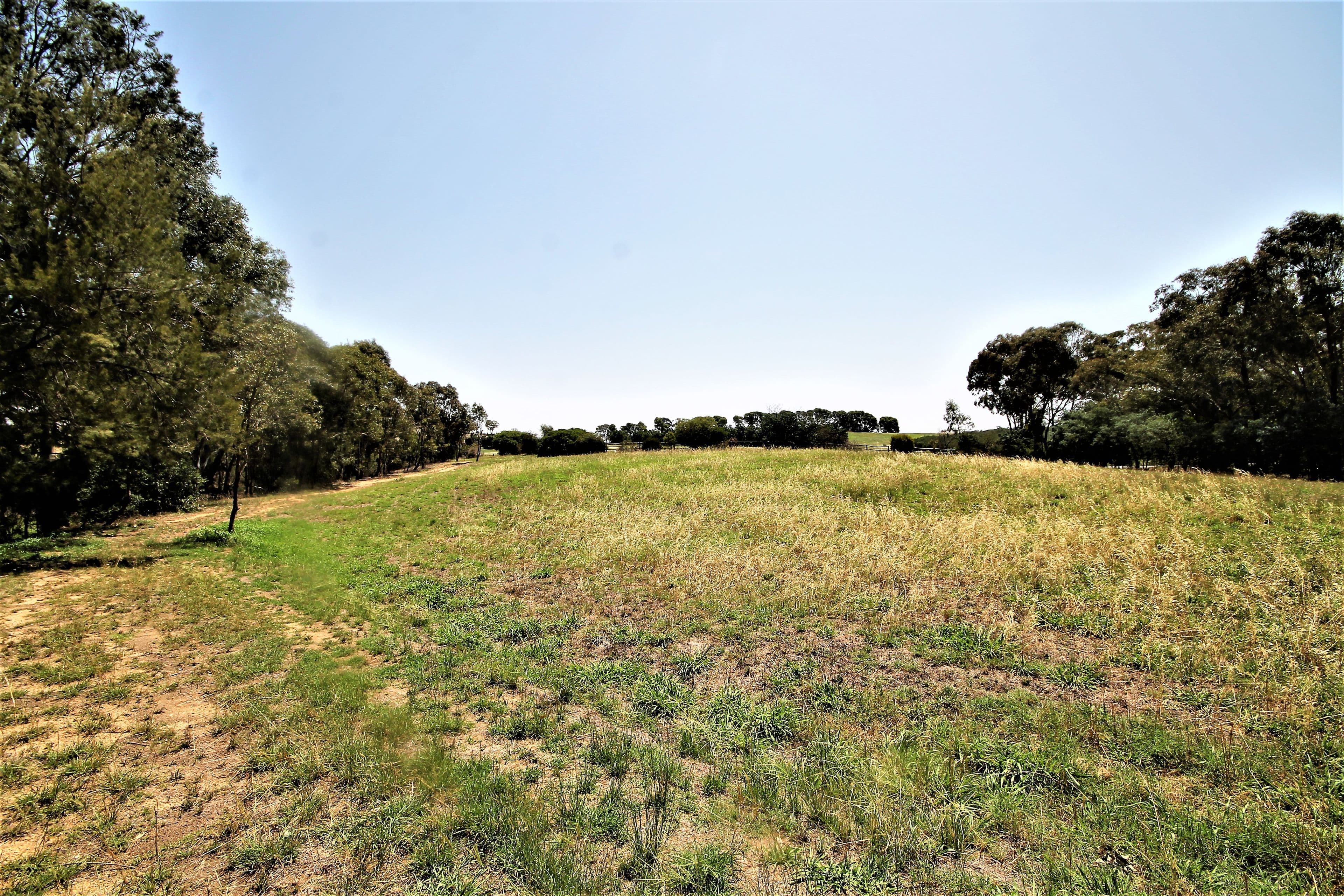 108 Hardys Road, Young NSW 2594, Young - Thumbnail 7