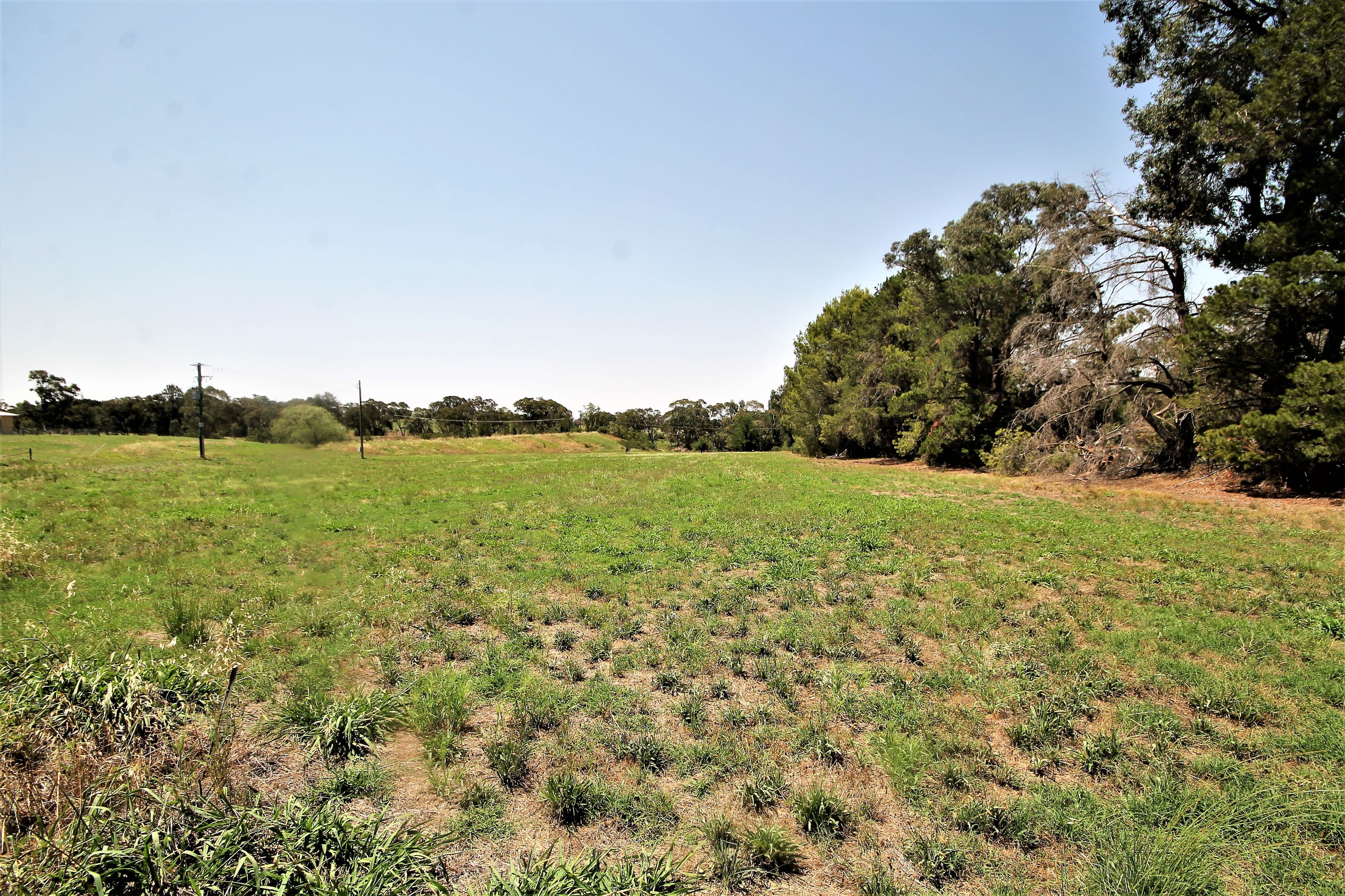 108 Hardys Road, Young NSW 2594, Young - Thumbnail 8