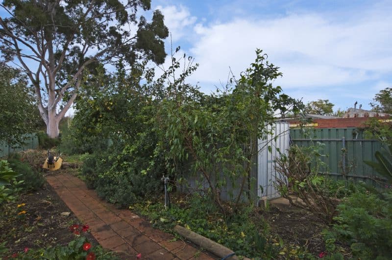 48 Devon Street South, GOODWOOD SA 5034, Goodwood - Thumbnail 5