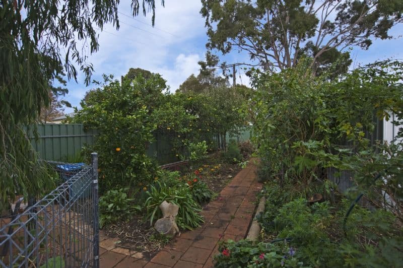 48 Devon Street South, GOODWOOD SA 5034, Goodwood - Thumbnail 6