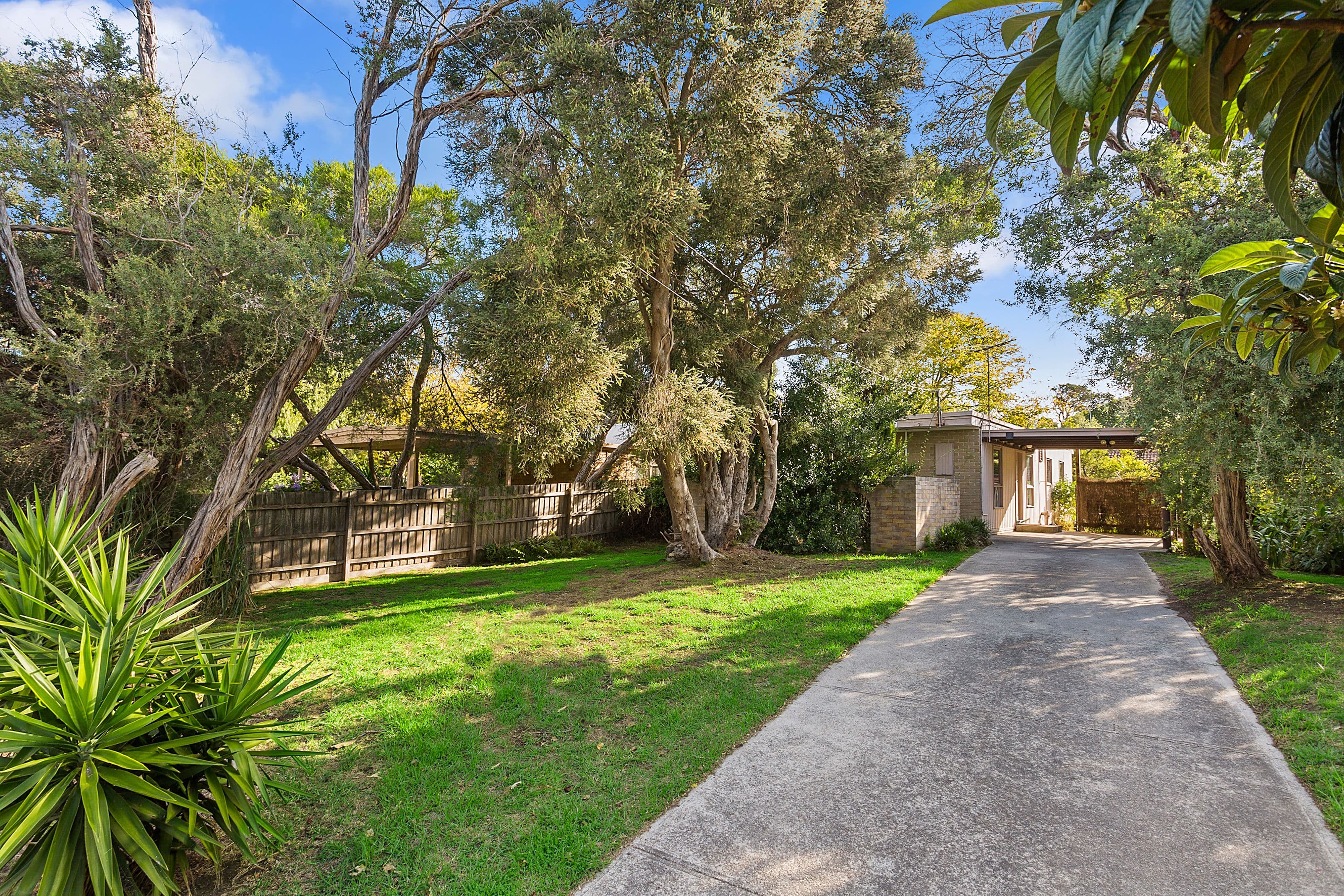 16 Manciple Street, Rye VIC 3941, Rye - Image 1