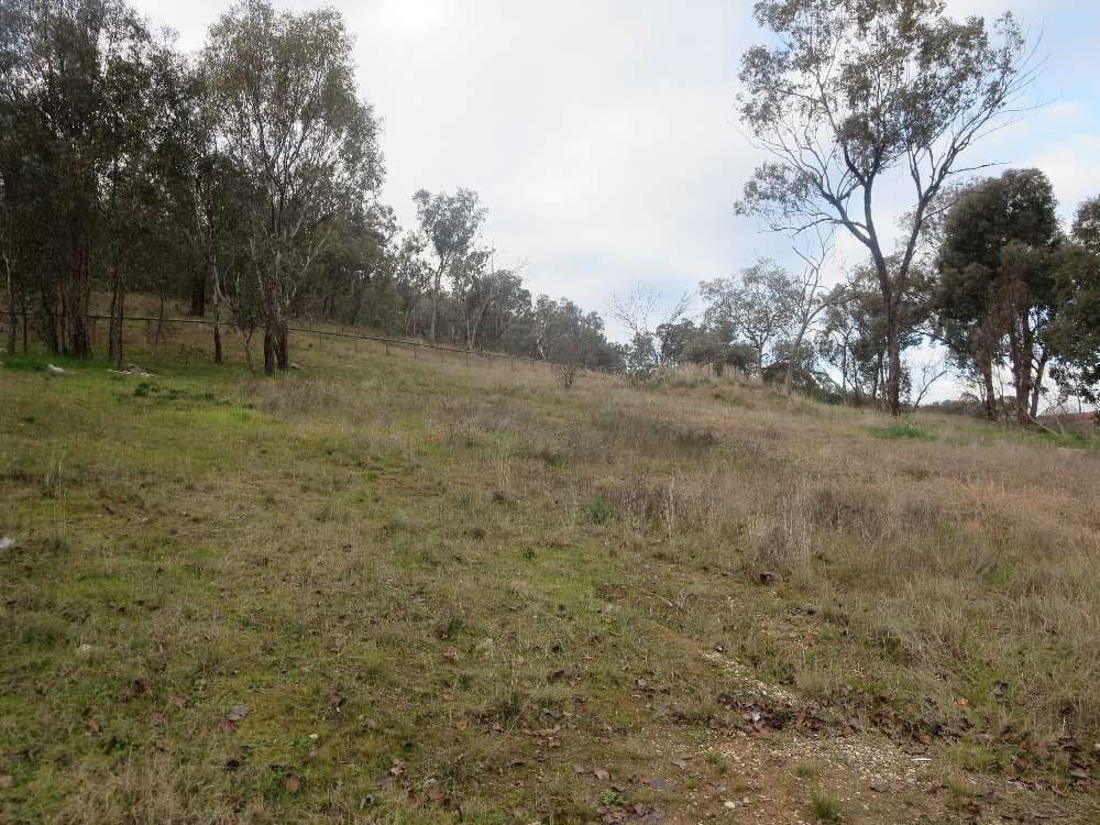4 Kirkpatrick Place, Glenroy NSW 2640, Glenroy - Thumbnail 2