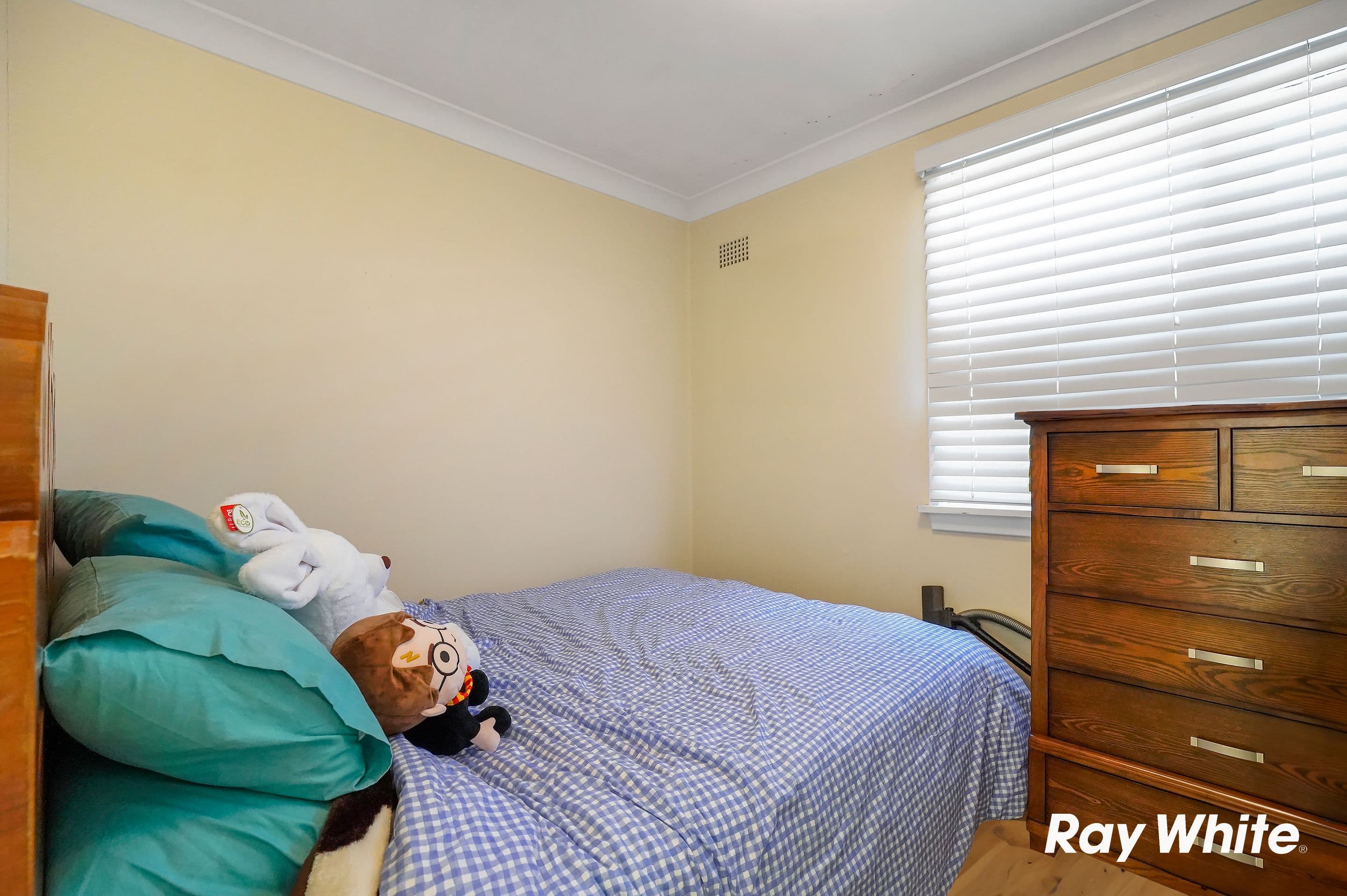36 Noumea Street, Lethbridge Park NSW 2770, Lethbridge Park - Thumbnail 4