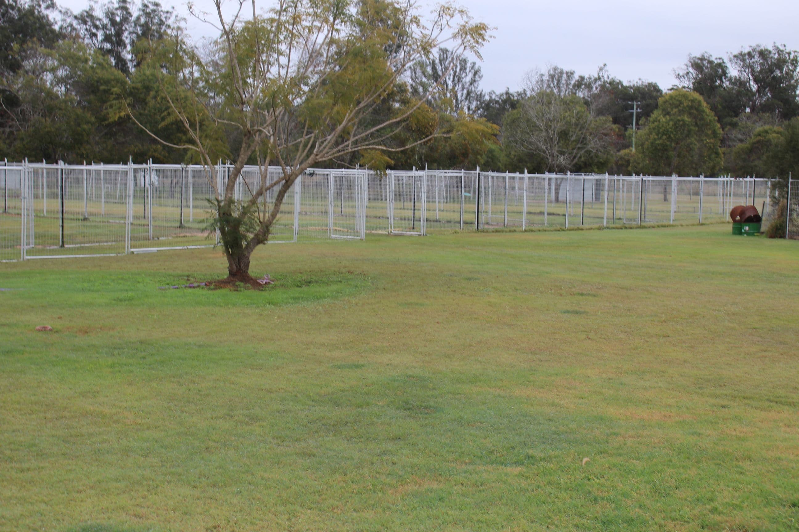 231 Zischkes Road, Coominya QLD 4311, Coominya - Thumbnail 4