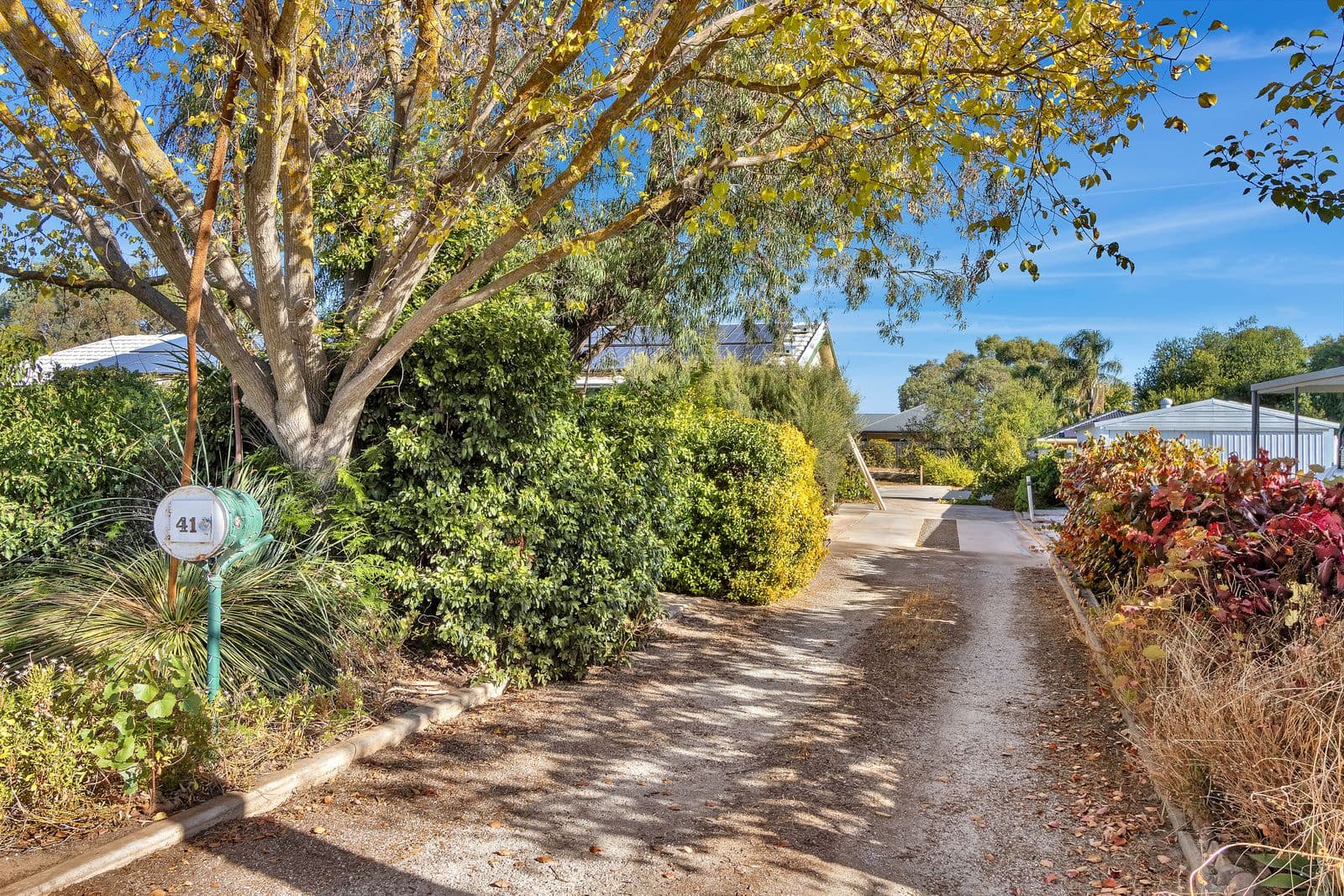 41 Magnolia Street, Tanunda SA 5352, Tanunda - Thumbnail 5