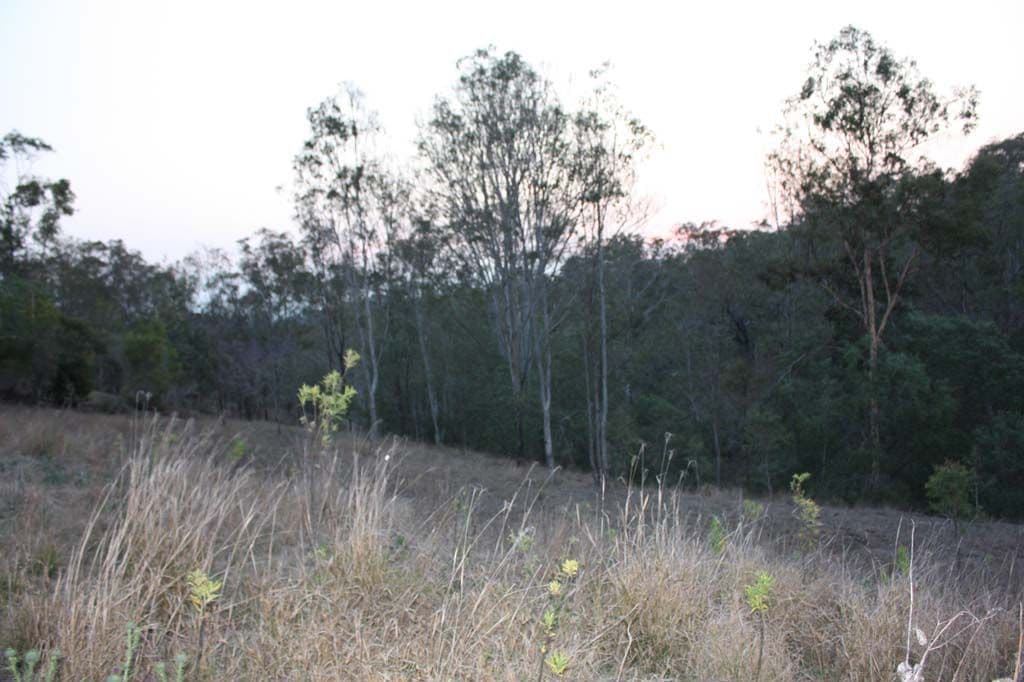 57 Farwell Close, KOORALBYN QLD 4285, Kooralbyn - Thumbnail 3
