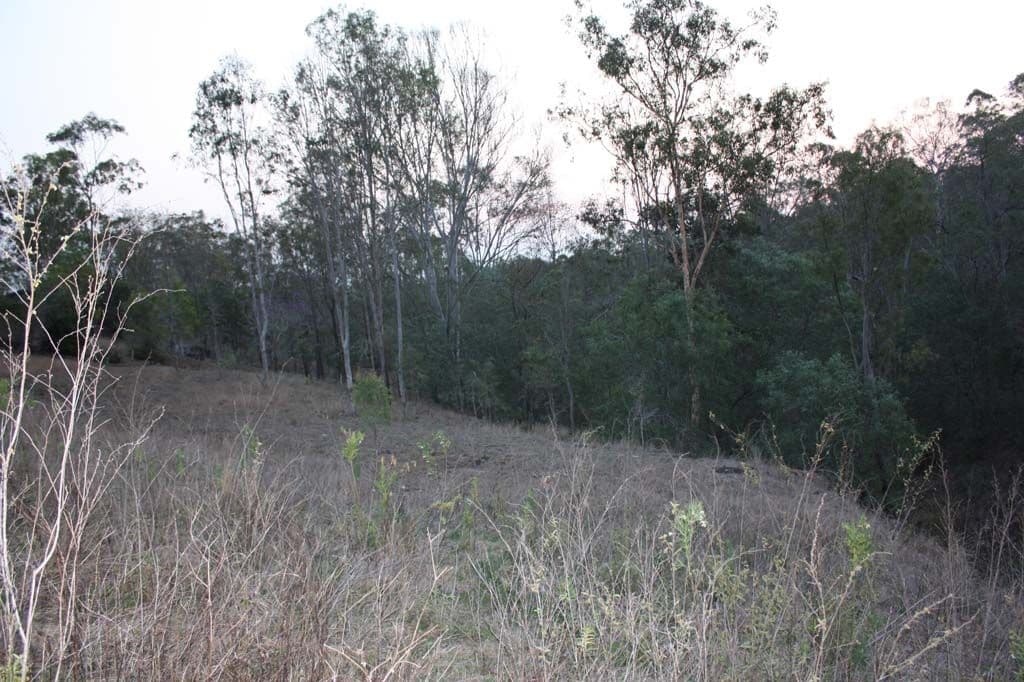 57 Farwell Close, KOORALBYN QLD 4285, Kooralbyn - Thumbnail 4