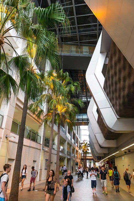 436 Victoria Avenue, CHATSWOOD NSW 2067, Chatswood - Thumbnail 6