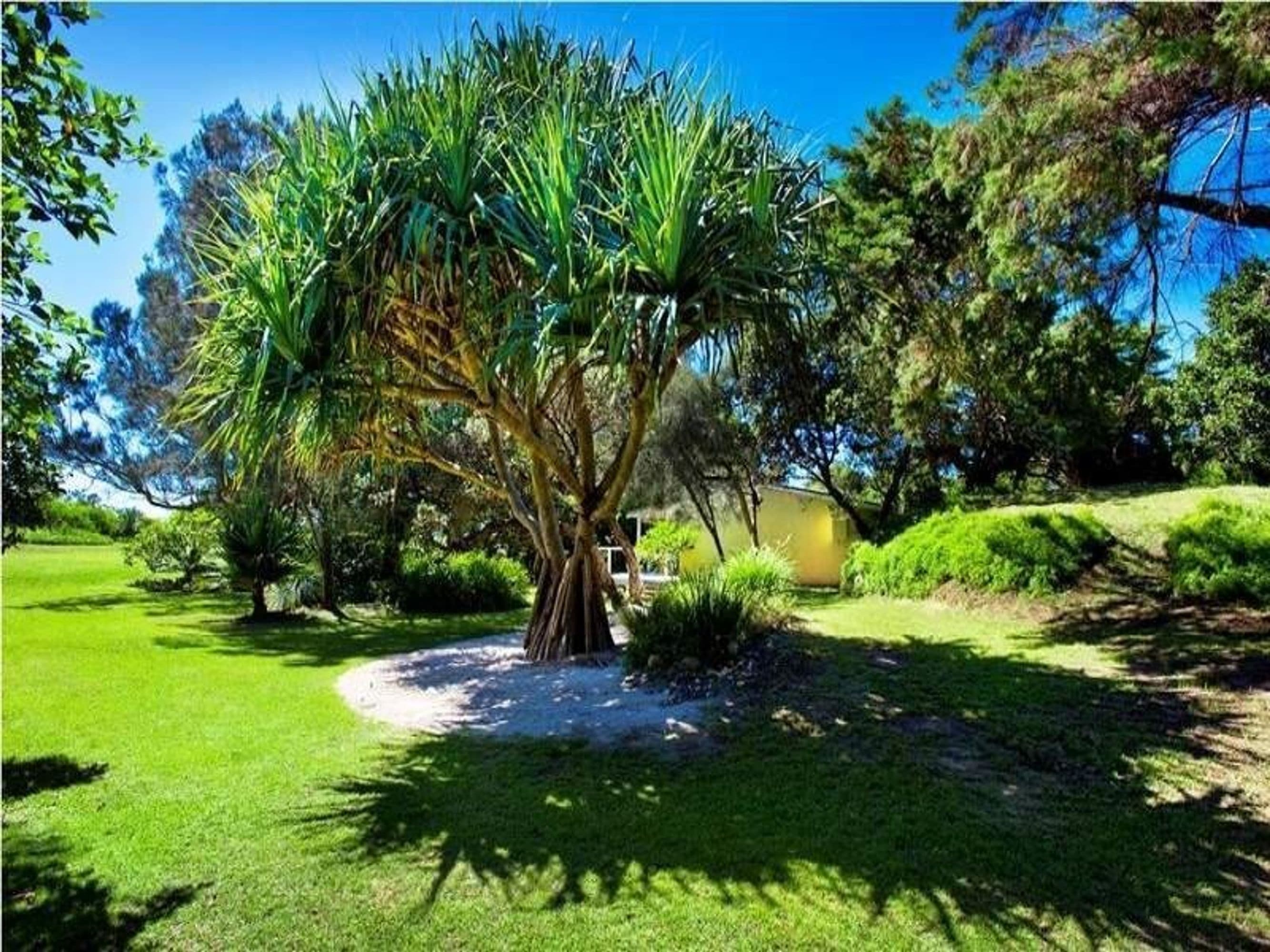 83 Pacific, Corindi Beach - Thumbnail 4