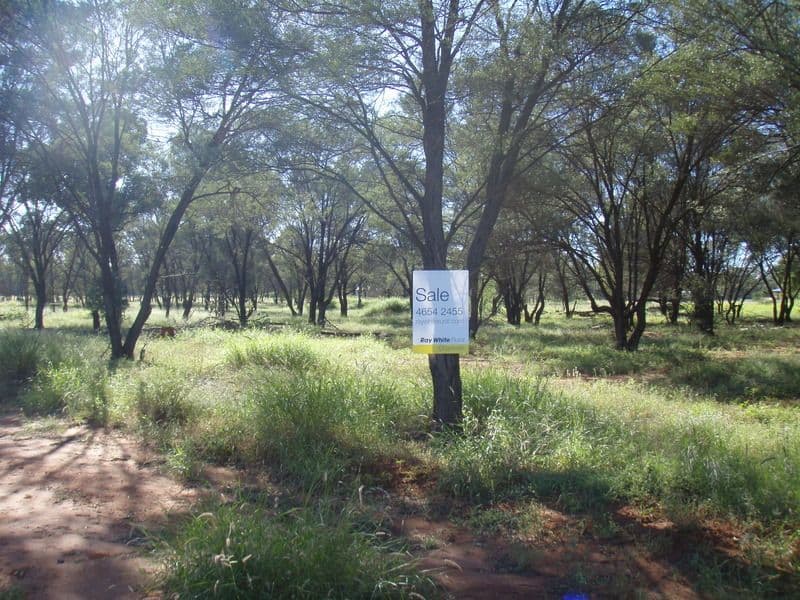 Lot 1 Partridge, CHARLEVILLE QLD 4470, Charleville - Thumbnail 2