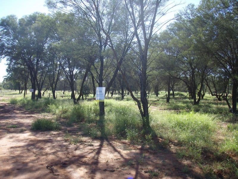 Lot 1 Partridge, CHARLEVILLE QLD 4470, Charleville - Thumbnail 3