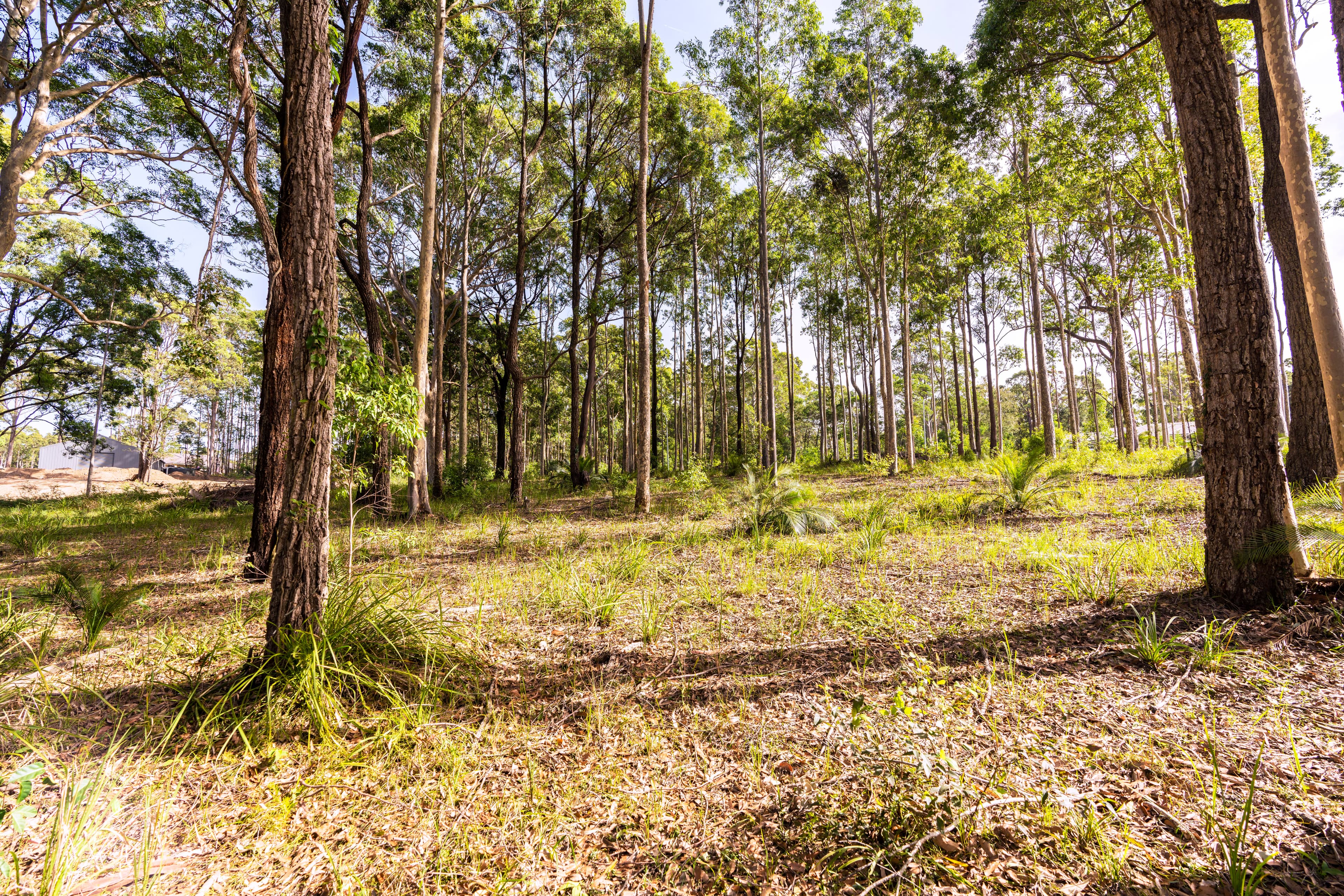 4 Hickory Crescent, BANGALEE NSW 2541, Bangalee - Thumbnail 5