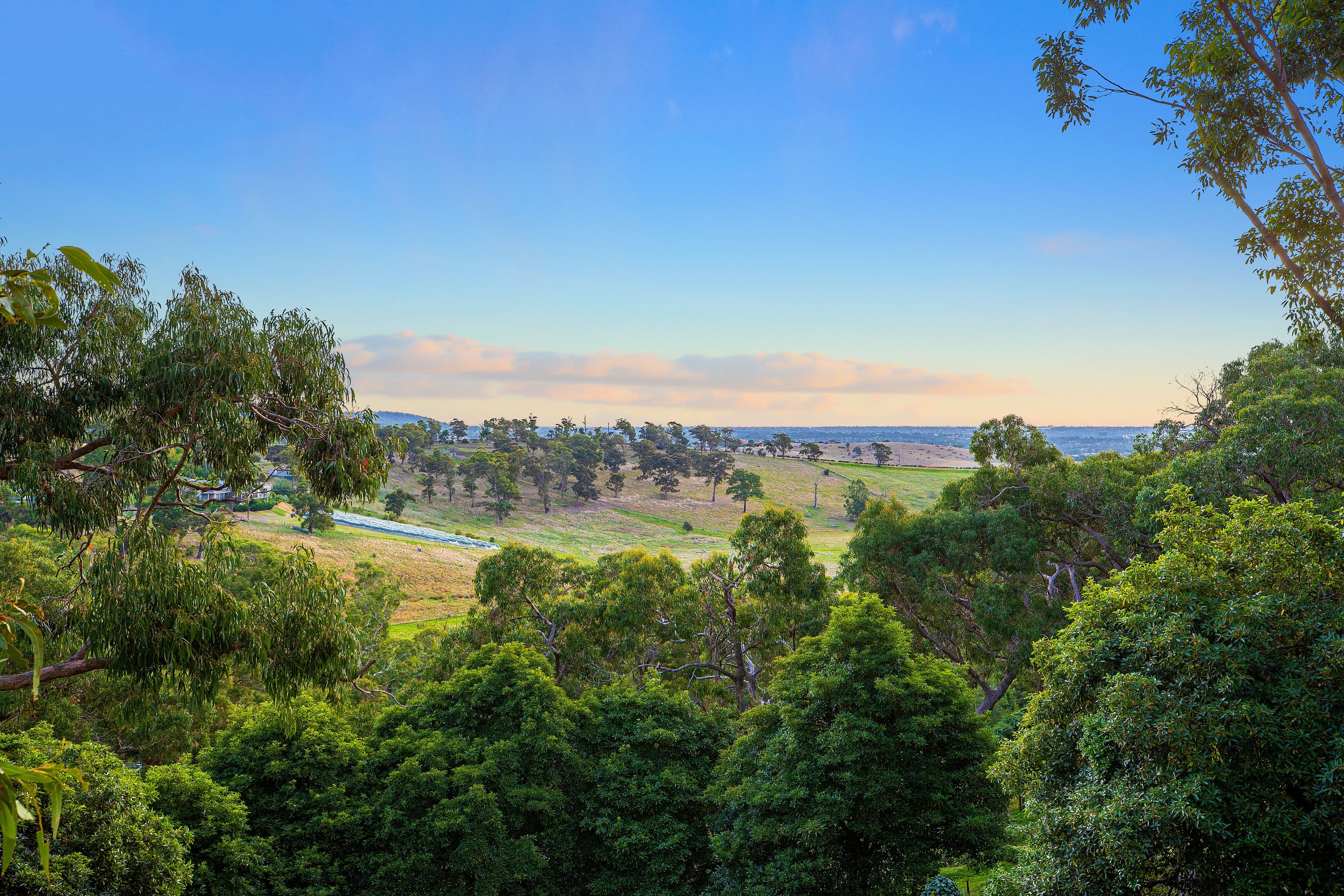 26 Fern Road, Upper Ferntree Gully VIC 3156, Upper Ferntree Gully - Thumbnail 3