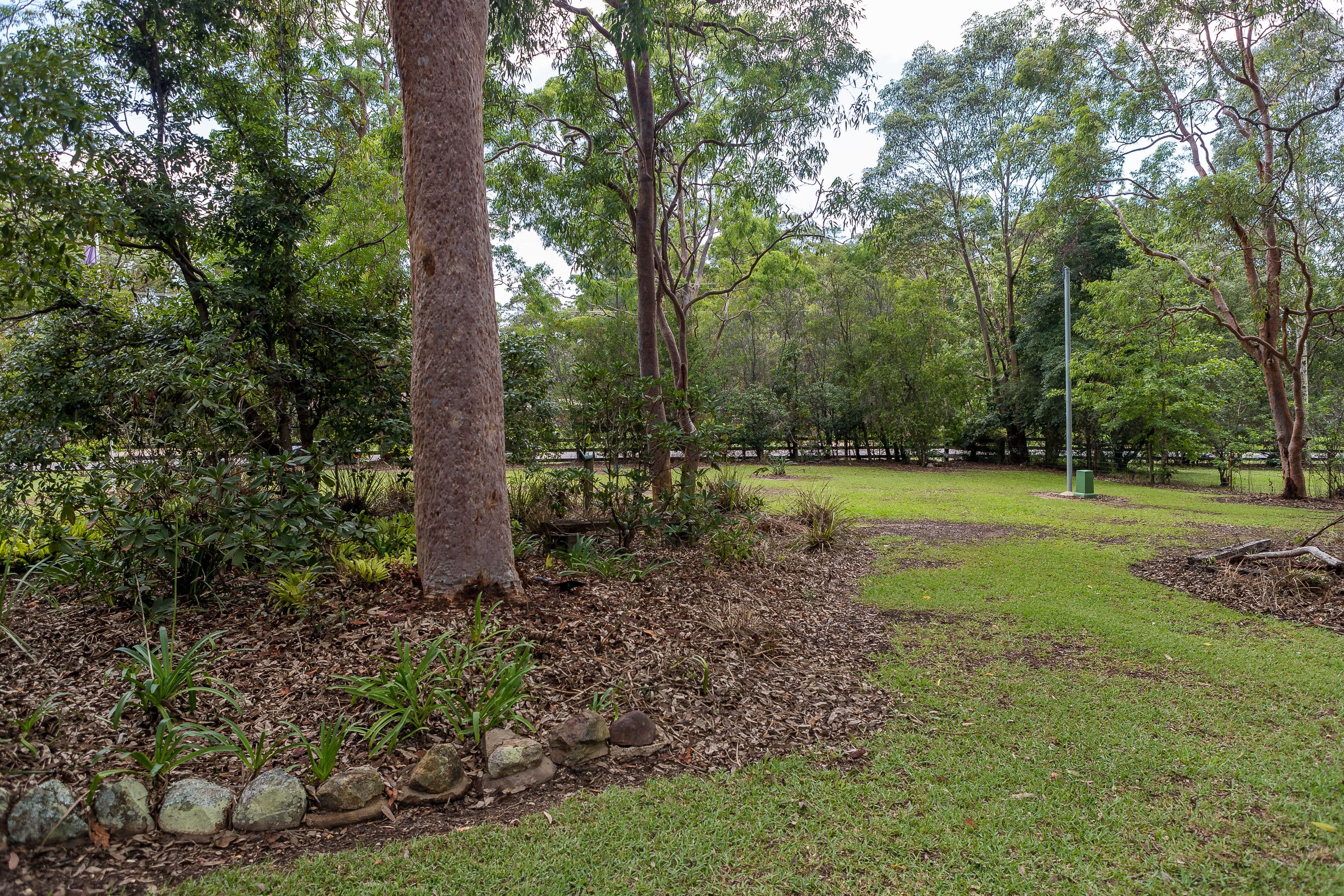 54 James Road, Medowie NSW 2318, Medowie - Thumbnail 7
