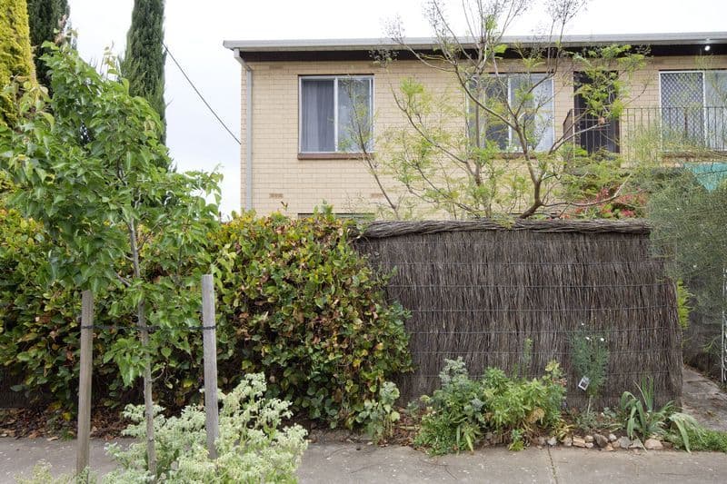 12 McQuillan Avenue, RENOWN PARK SA 5008, Renown Park - Image 1