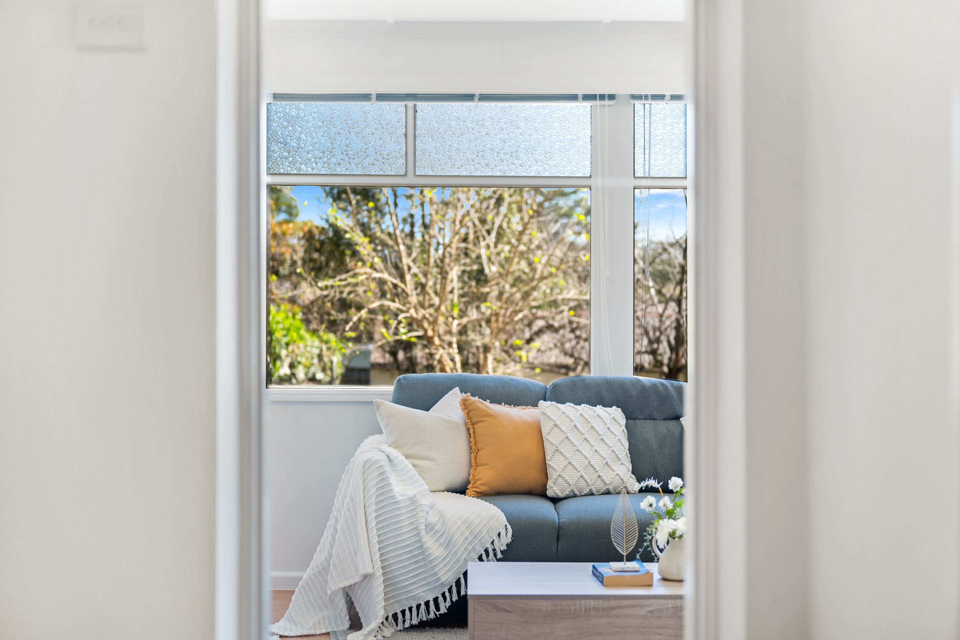 26A Northcote Street, Haberfield NSW 2045, Haberfield - Thumbnail 4
