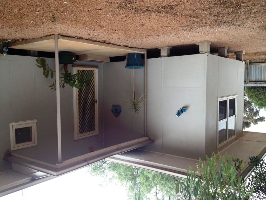 9 Park Terrace, Bute SA 5560, Bute - Image 1