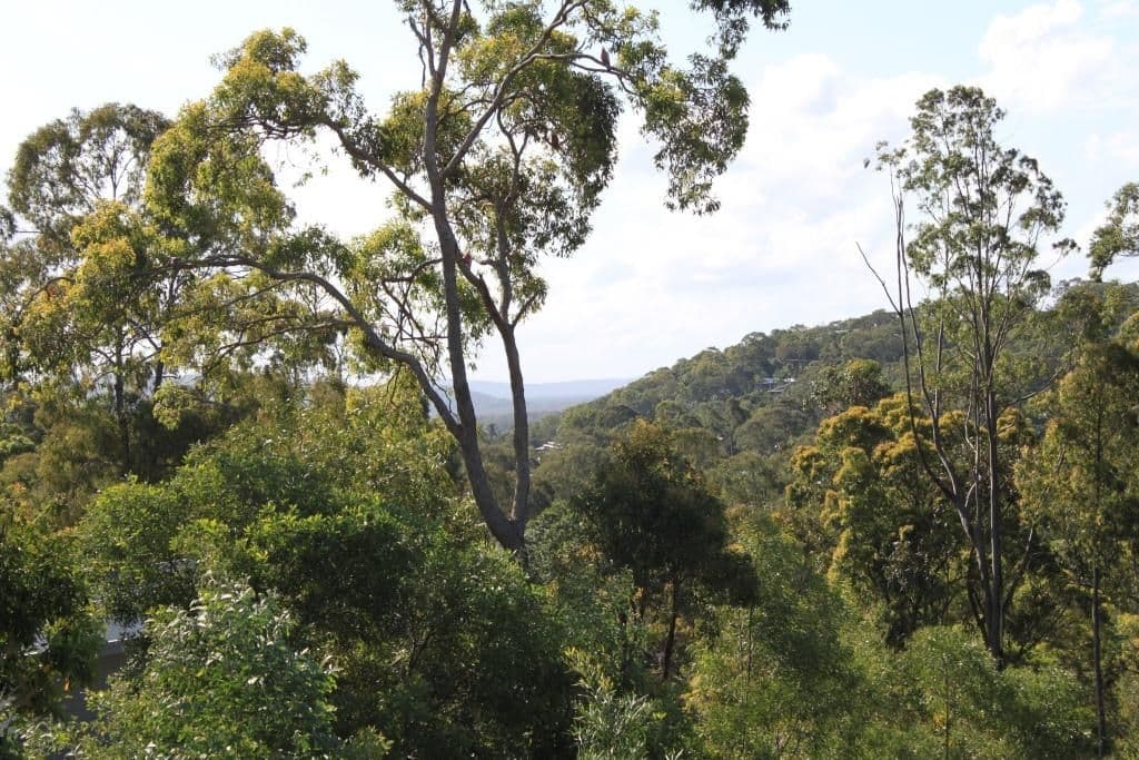 59 Warrack Street, MOUNT COOLUM QLD 4573, Mount Coolum - Thumbnail 5