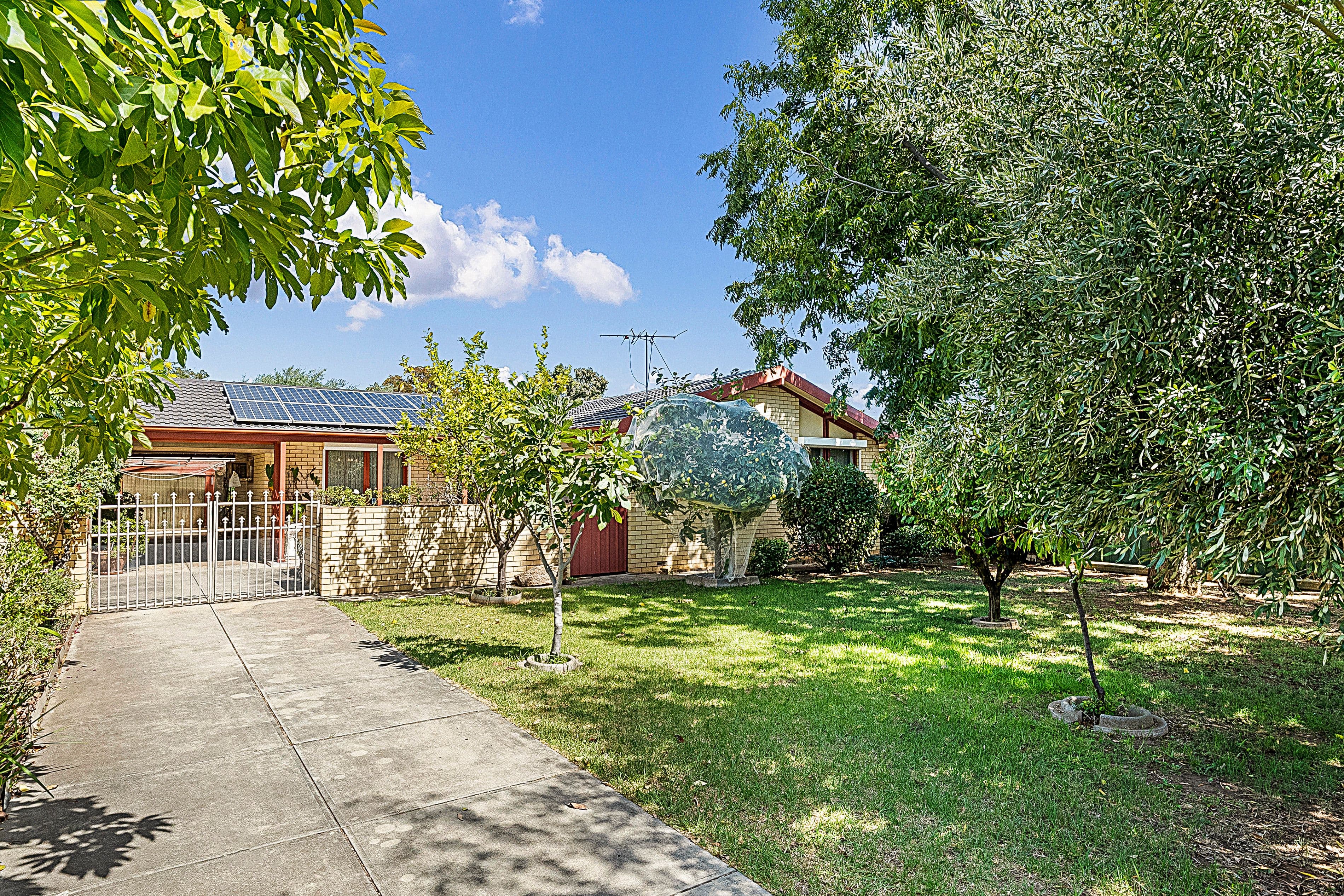 50 Church Road, Campbelltown SA 5074, Campbelltown - Image 1