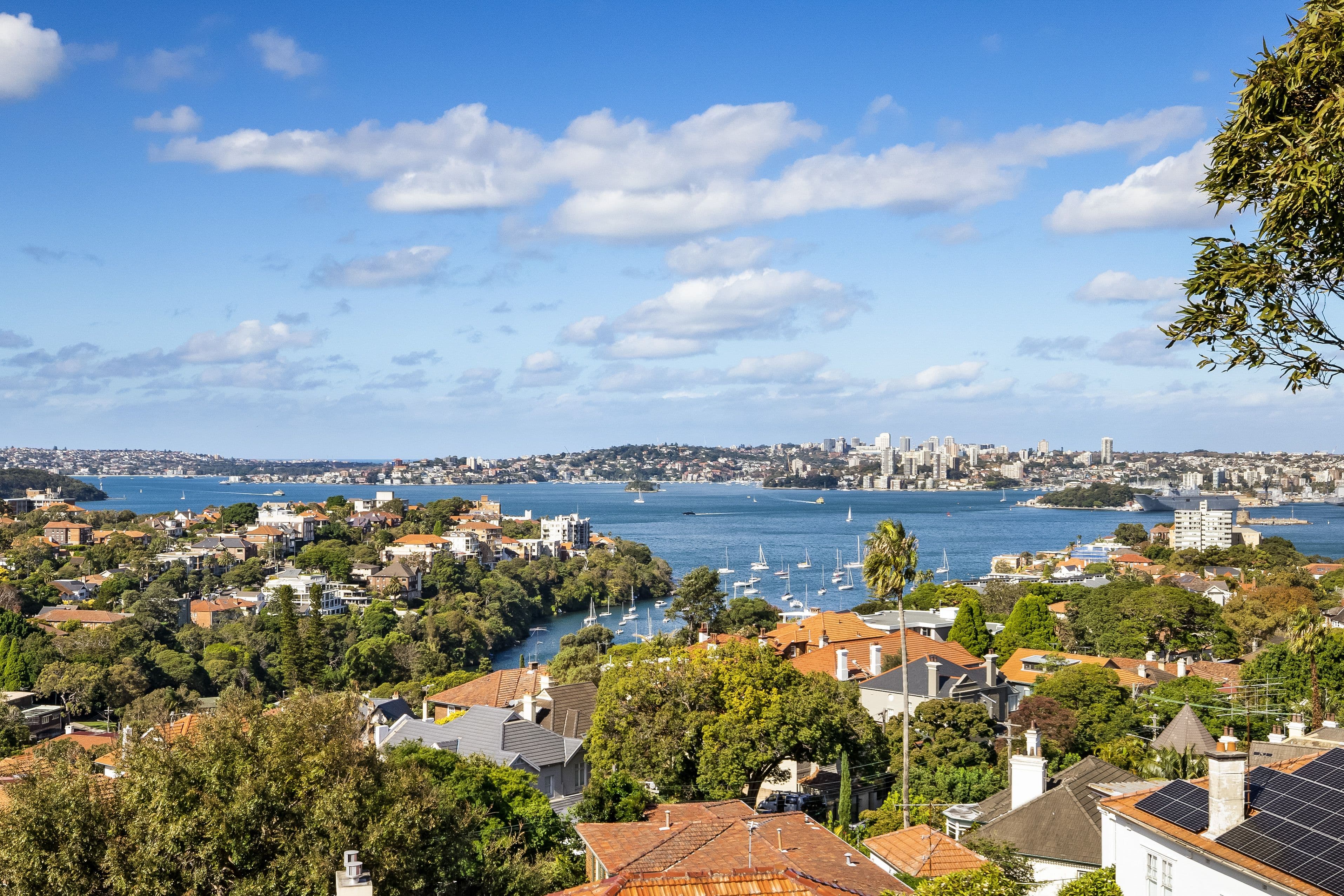 1 Anderson Street, Neutral Bay NSW 2089, Neutral Bay - Thumbnail 7
