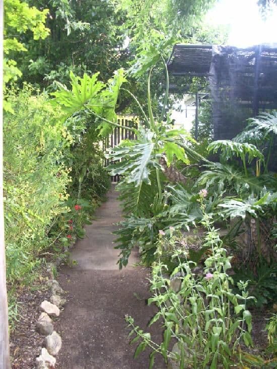 24 Carson Street, MUNDULLA SA 5270, Mundulla - Thumbnail 7