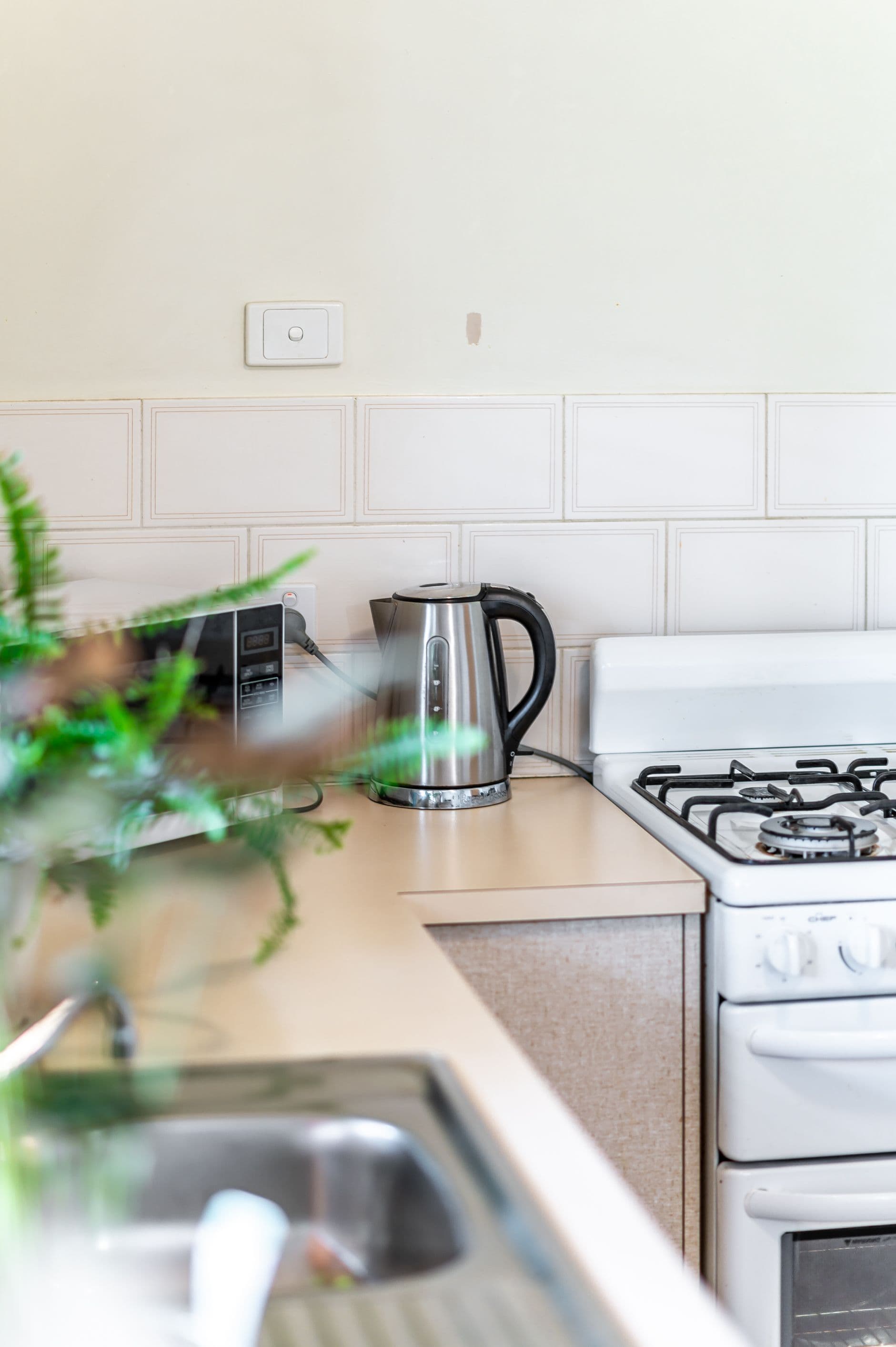 6 Ayling Street, Willaston SA 5118, Willaston - Thumbnail 7