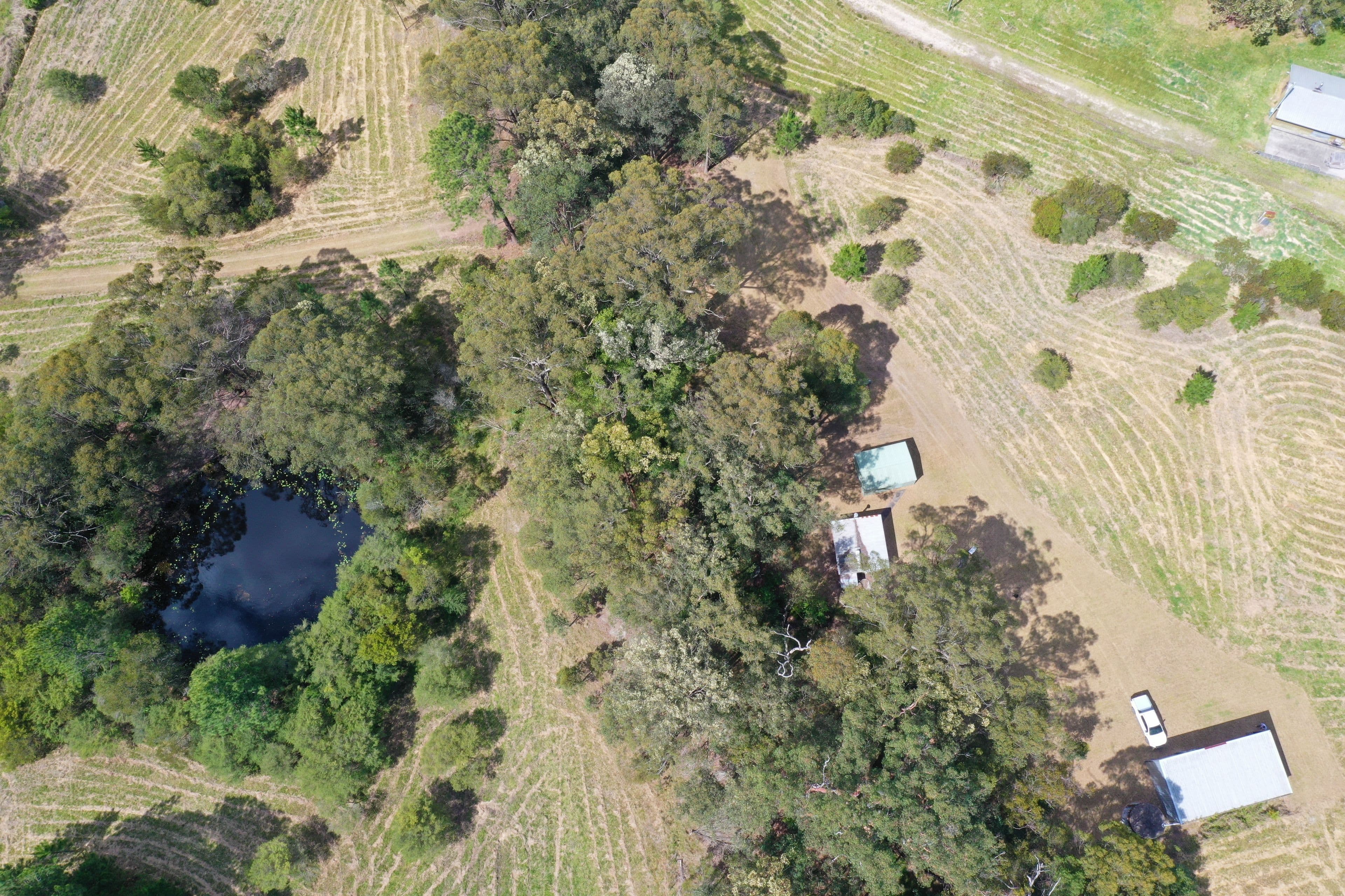 96 Old Schoolhouse Road, Crawford River NSW 2423, Crawford River - Thumbnail 2
