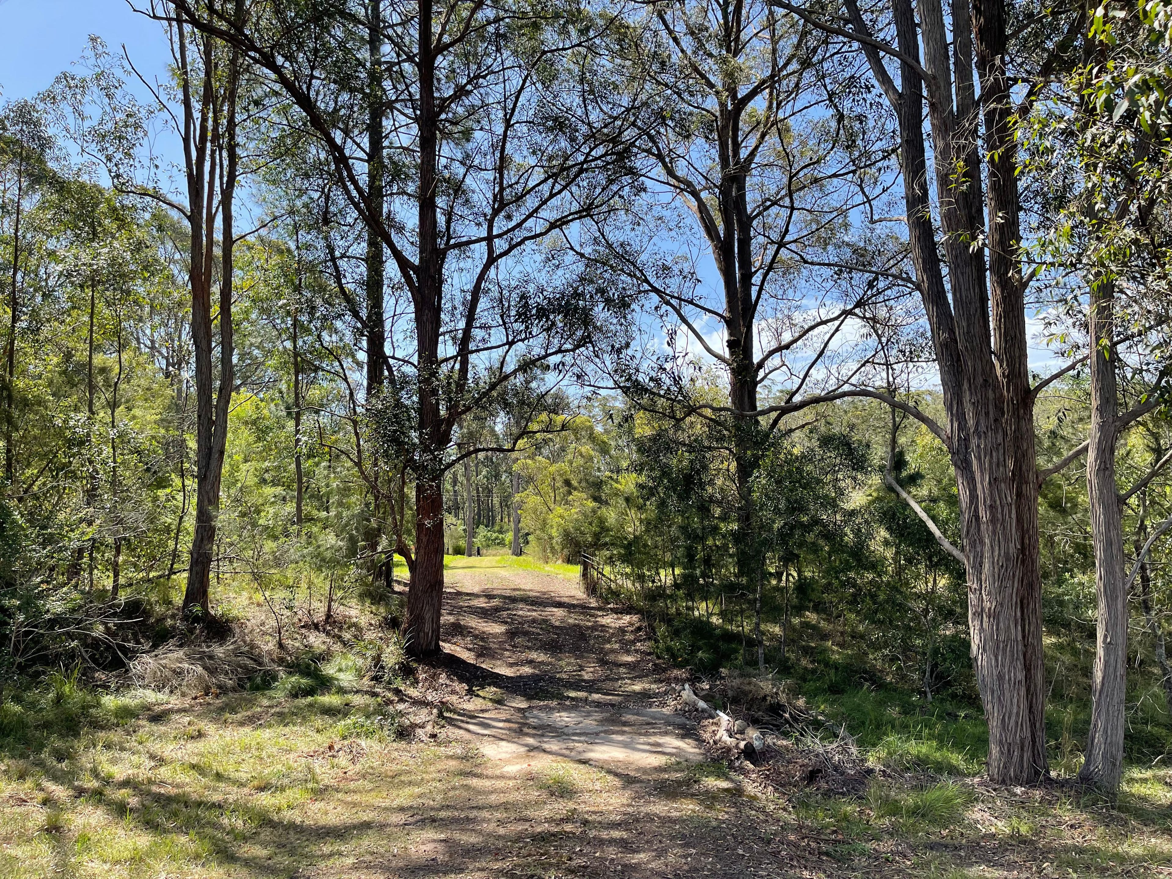 96 Old Schoolhouse Road, Crawford River NSW 2423, Crawford River - Thumbnail 6