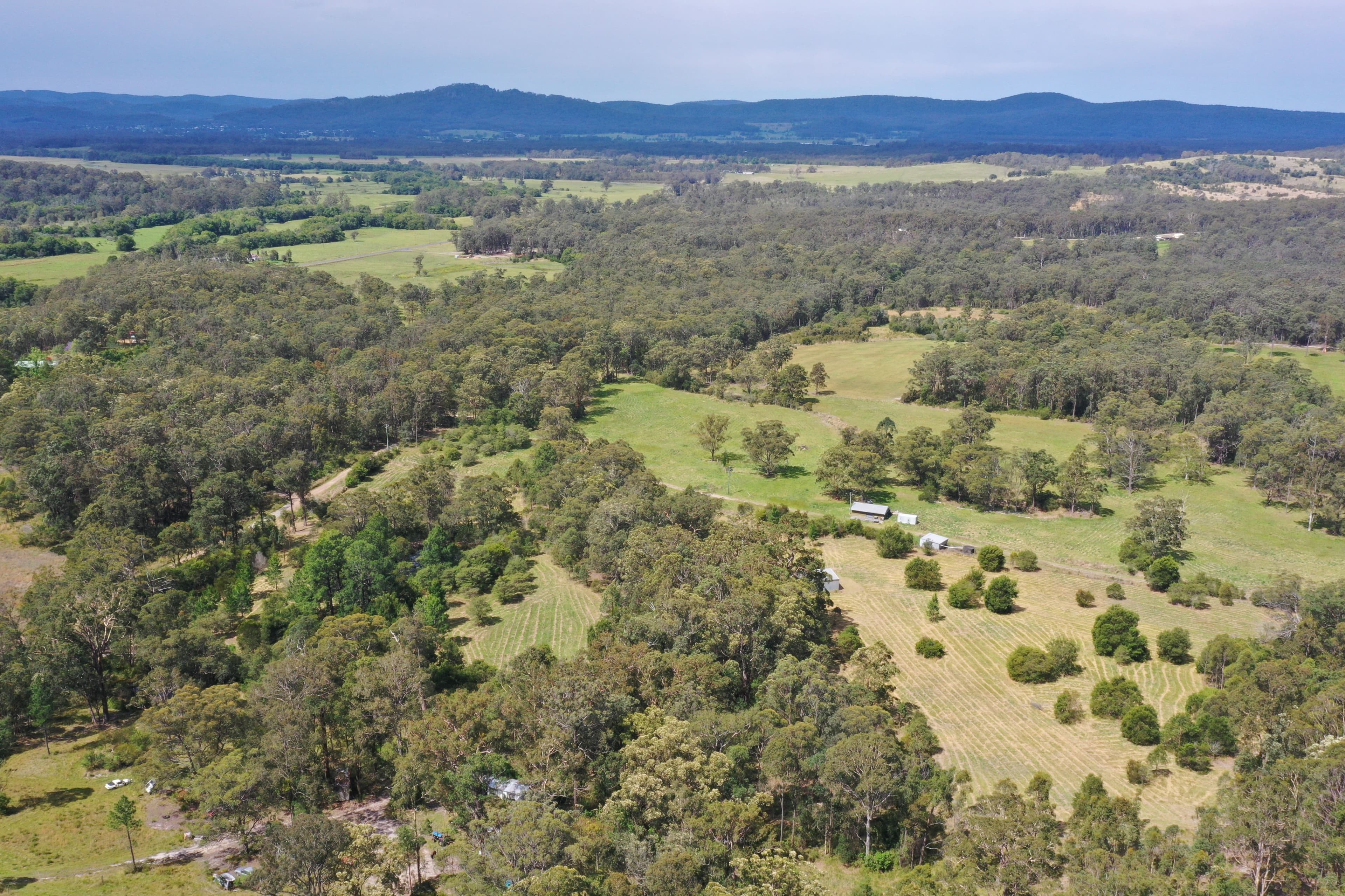 96 Old Schoolhouse Road, Crawford River NSW 2423, Crawford River - Thumbnail 8