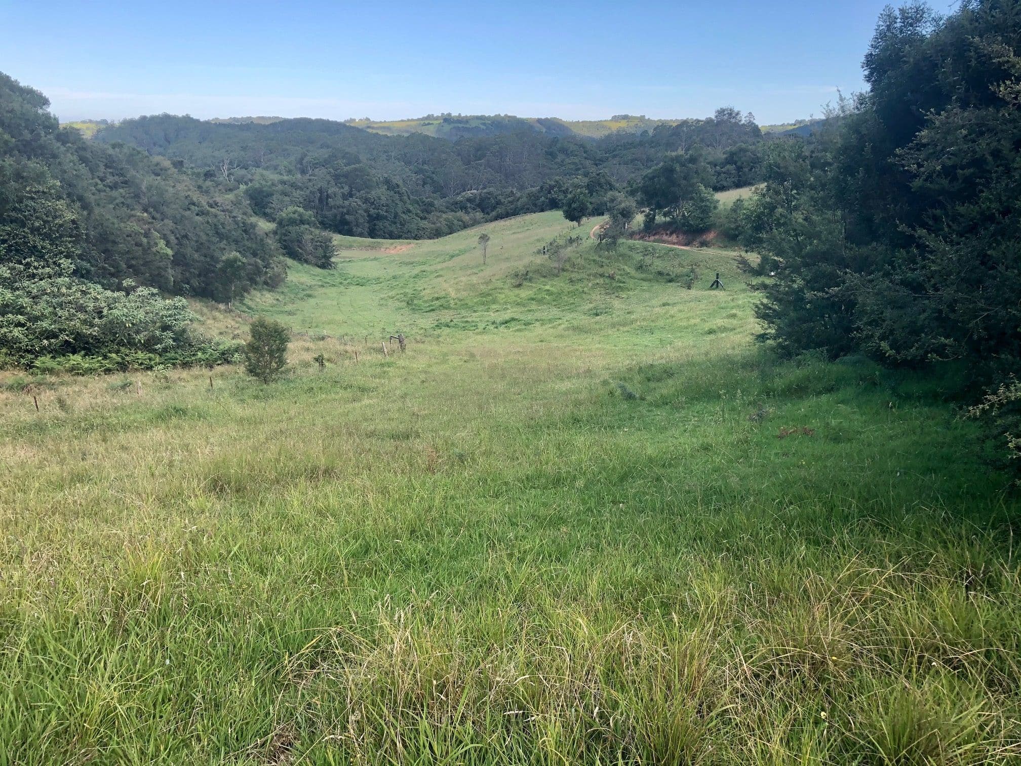 1097 Deer Vale Road, Deer Vale, Dorrigo NSW 2453, Dorrigo - Thumbnail 2
