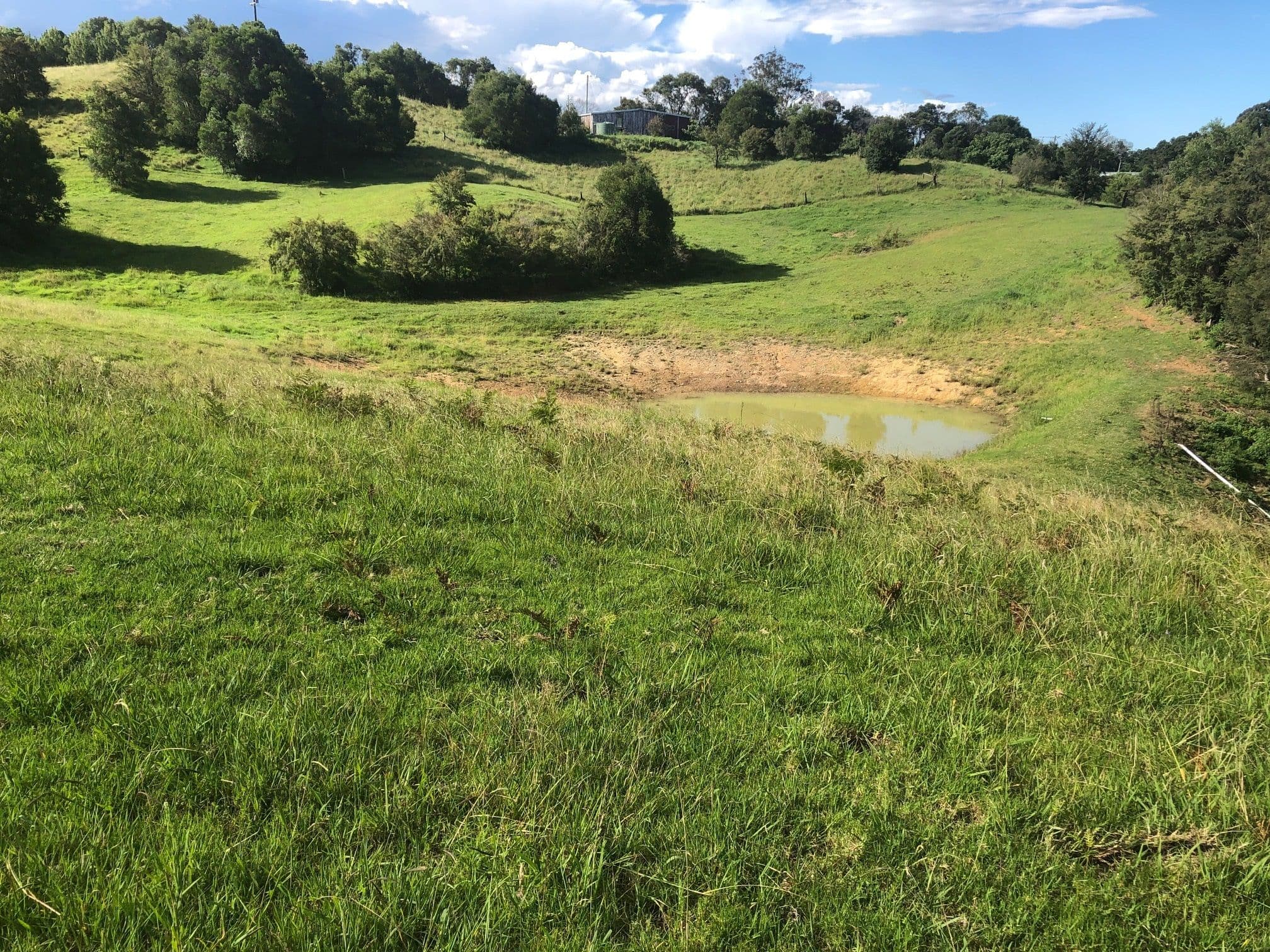 1097 Deer Vale Road, Deer Vale, Dorrigo NSW 2453, Dorrigo - Thumbnail 3