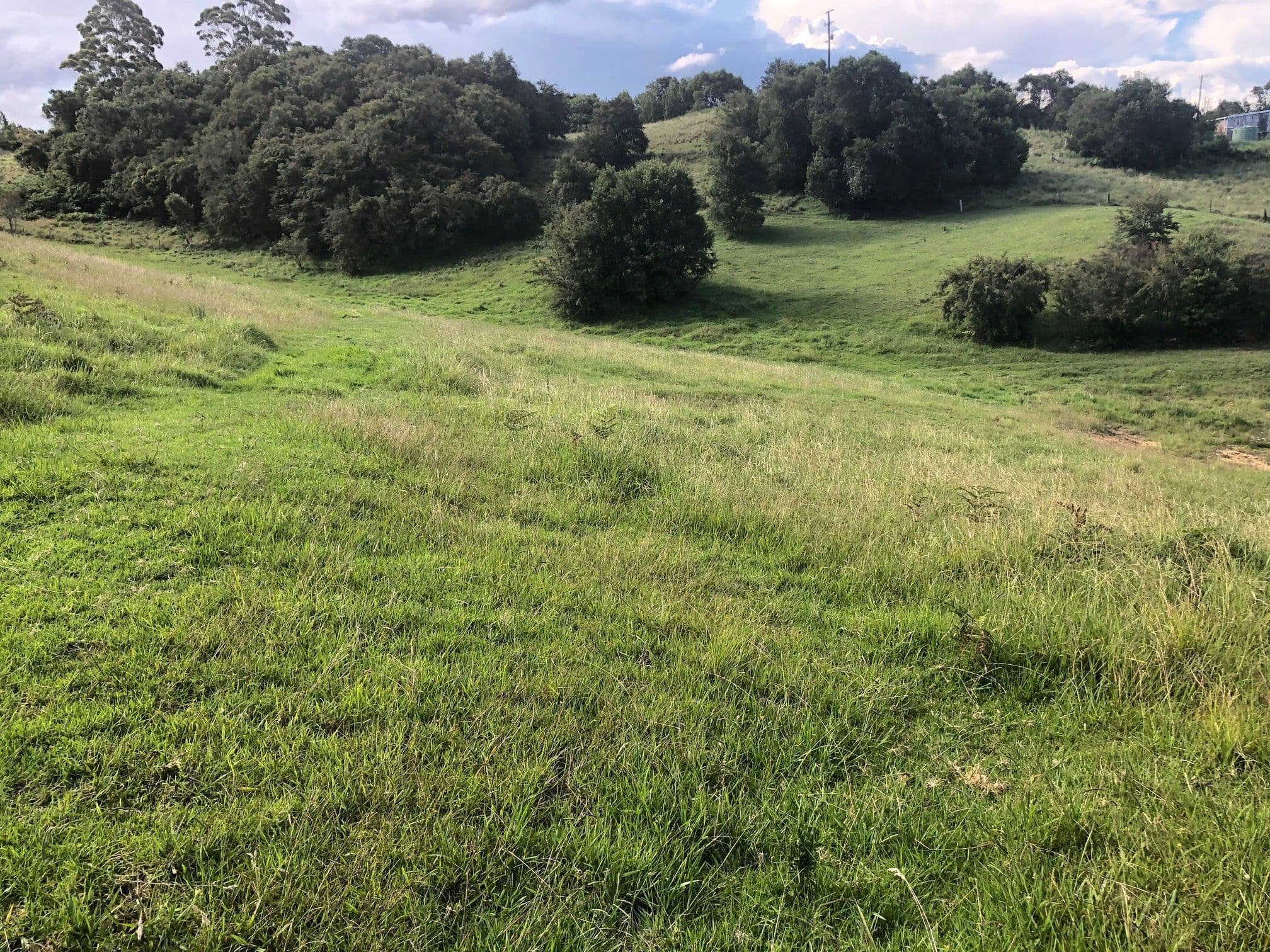 1097 Deer Vale Road, Deer Vale, Dorrigo NSW 2453, Dorrigo - Thumbnail 5