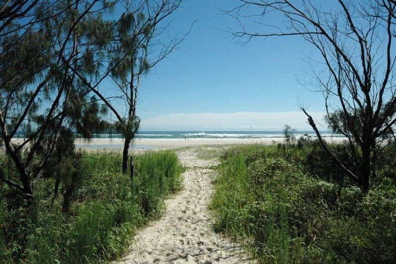 BILINGA QLD 4225, Bilinga - Thumbnail 4