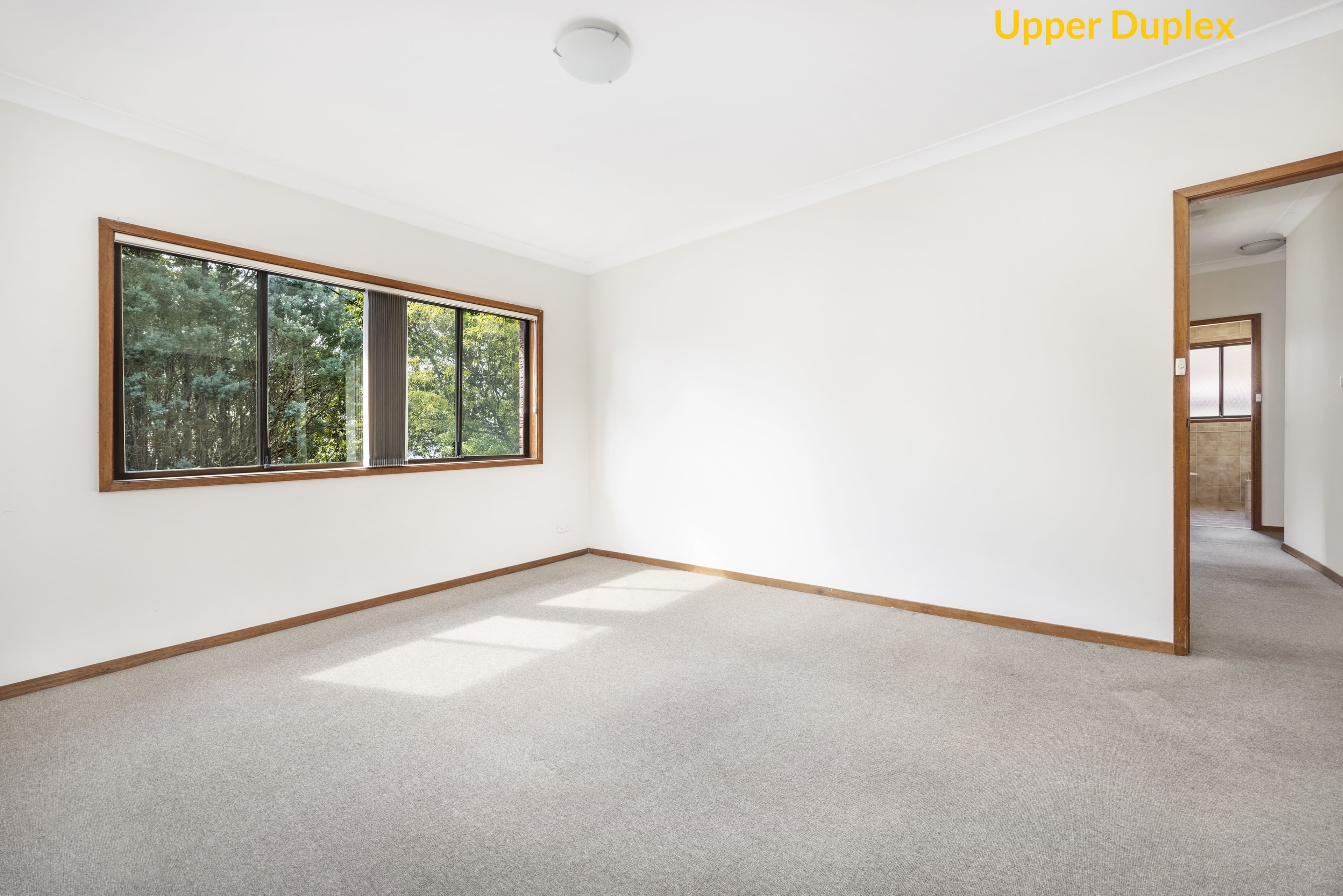 214 High Street, Willoughby NSW 2068, Willoughby - Thumbnail 7