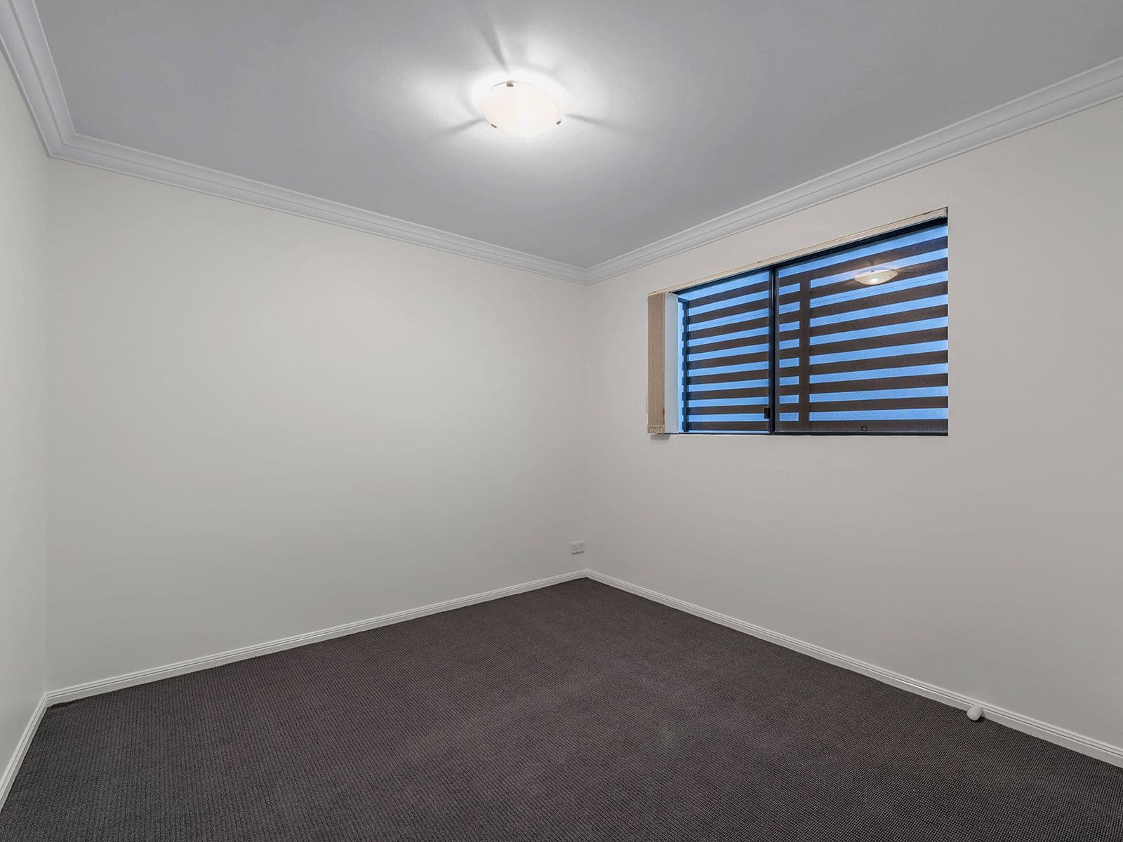 110 Fernberg Road, Paddington QLD 4064, Paddington - Thumbnail 8