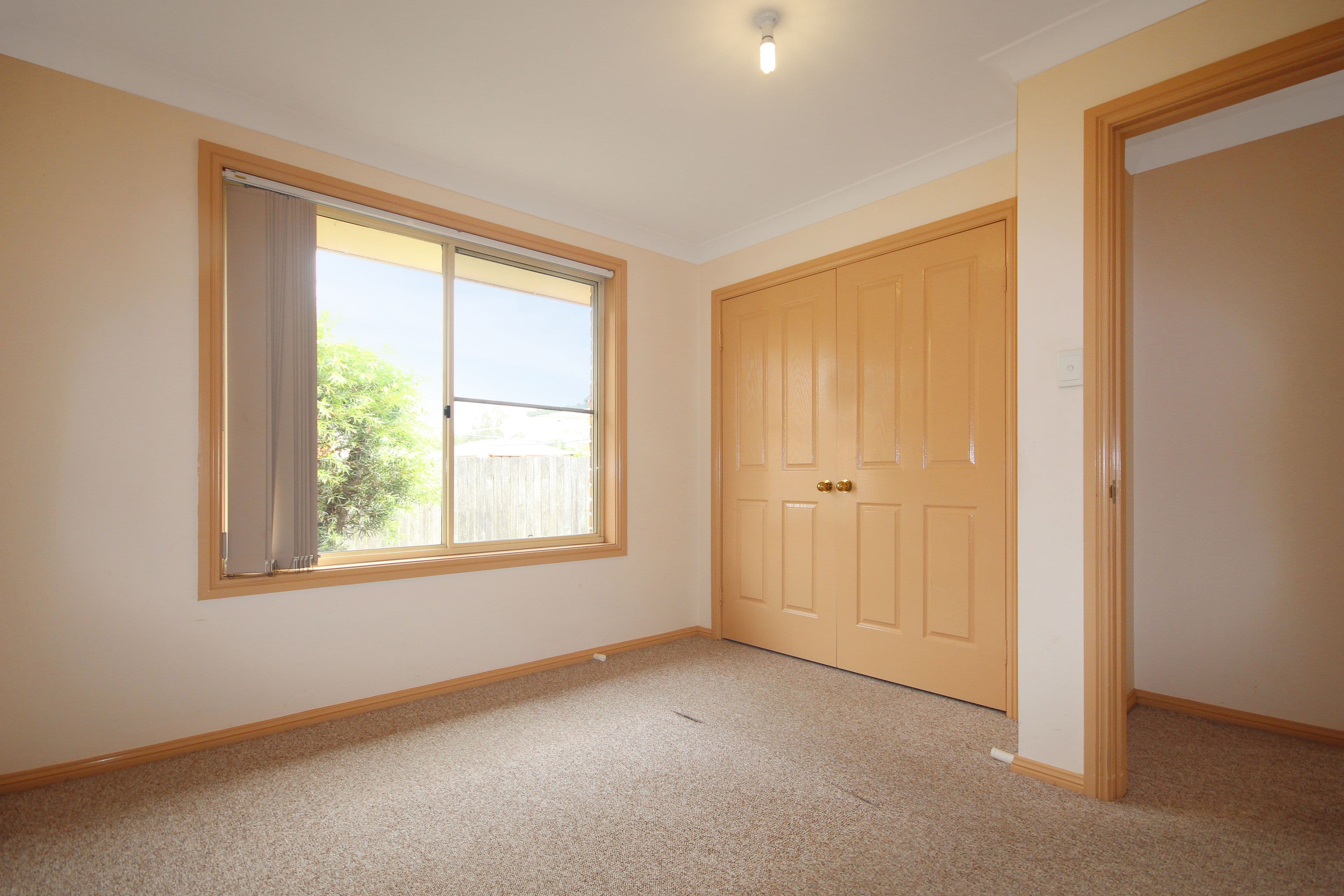 31 Satur Road, Scone - Thumbnail 4