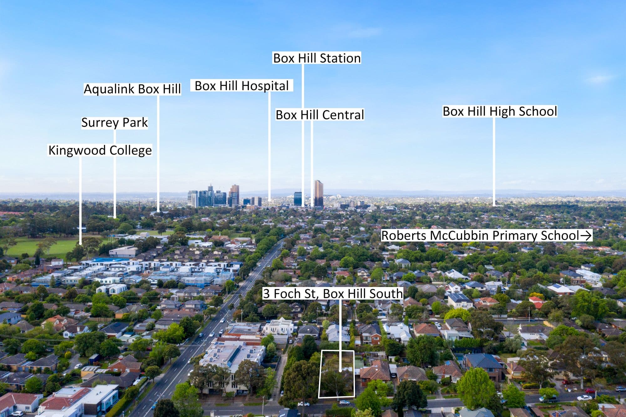 3 Foch Street, Box Hill South VIC 3128, Box Hill South - Thumbnail 3